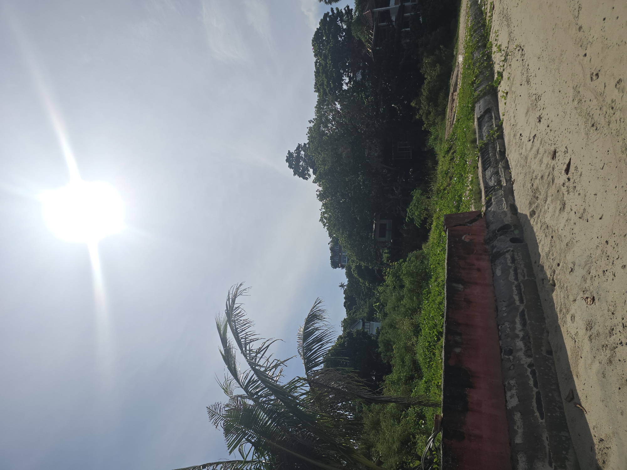 A bright, sunny day at Baan Chaweng Noi, Thailand, features a sandy beach in the foreground, leading to a low concrete wall covered in green vegetation. Beyond the wall, dense green foliage and trees dominate the midground, with several houses and structures visible amongst the trees on a sloping hillside. A prominent palm tree stands on the left side of the frame, its fronds reaching towards the bright sky. The sun, intensely bright, is positioned in the upper center of the sky, casting a strong glare. The environment suggests a tropical coastal setting.