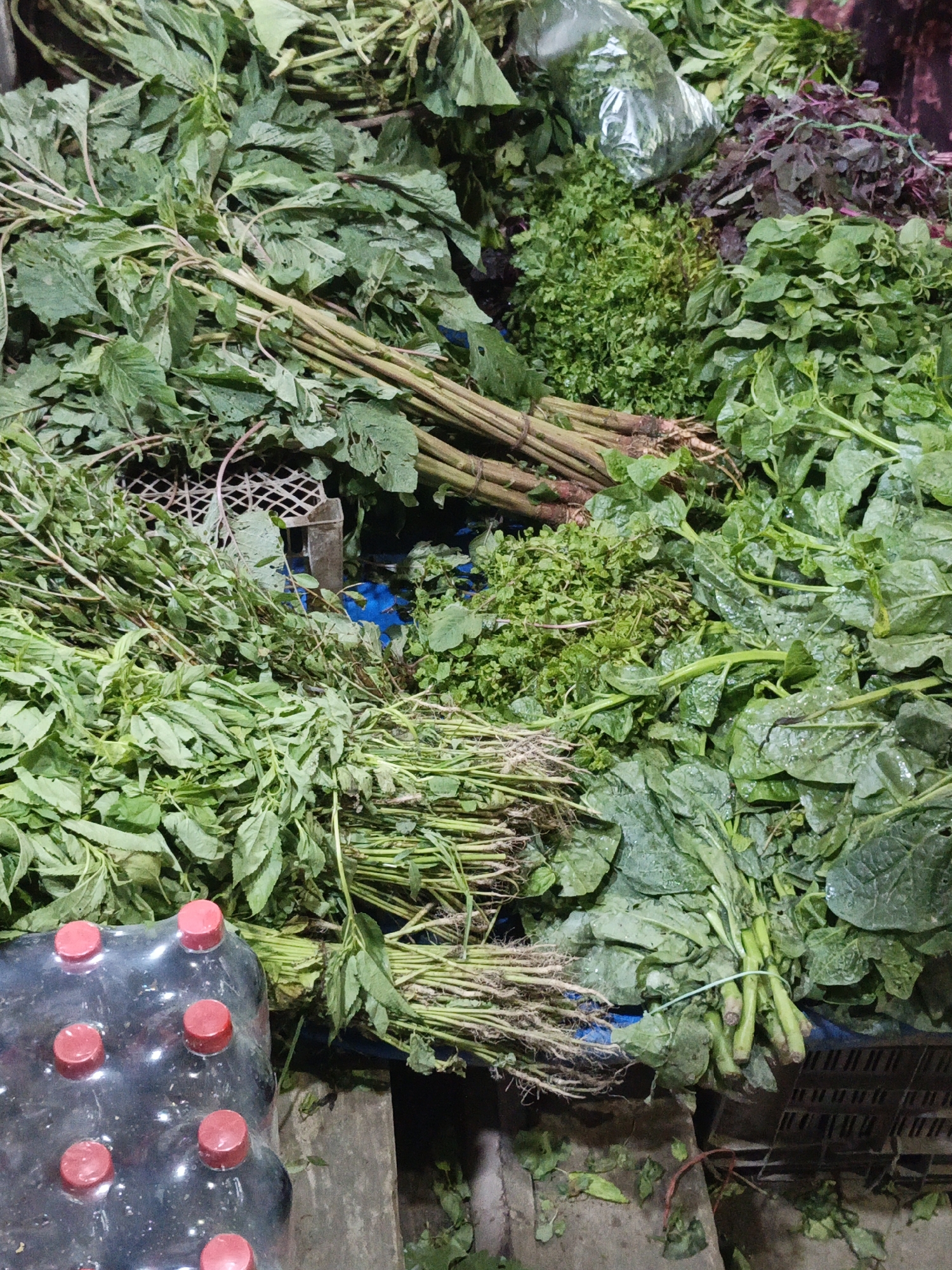 The image shows a variety of fresh, leafy green vegetables stacked on a surface, possibly a market stall, in Dhaka, Bangladesh. Bundles of amaranth, spinach, and other leafy greens are present. The vegetables are arranged in disarray, suggesting a fresh delivery or ongoing sale. A plastic crate and a partially visible container of bottled beverages are also in the frame. The overall impression is that of a bustling local market.