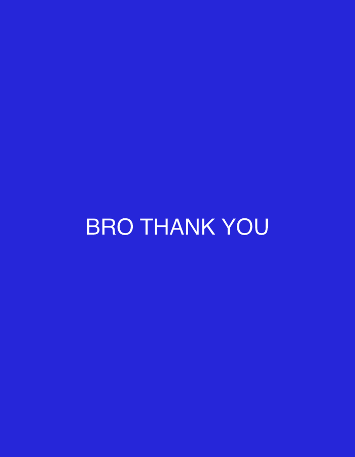 The image displays a solid, vibrant blue background. Centered horizontally and slightly below the vertical midpoint, white uppercase text reads "BRO THANK YOU." There are no other discernible subjects, objects, people, or environmental details present. The image provides no visual information regarding a specific geographical location, including the city of Sofia, Bulgaria.