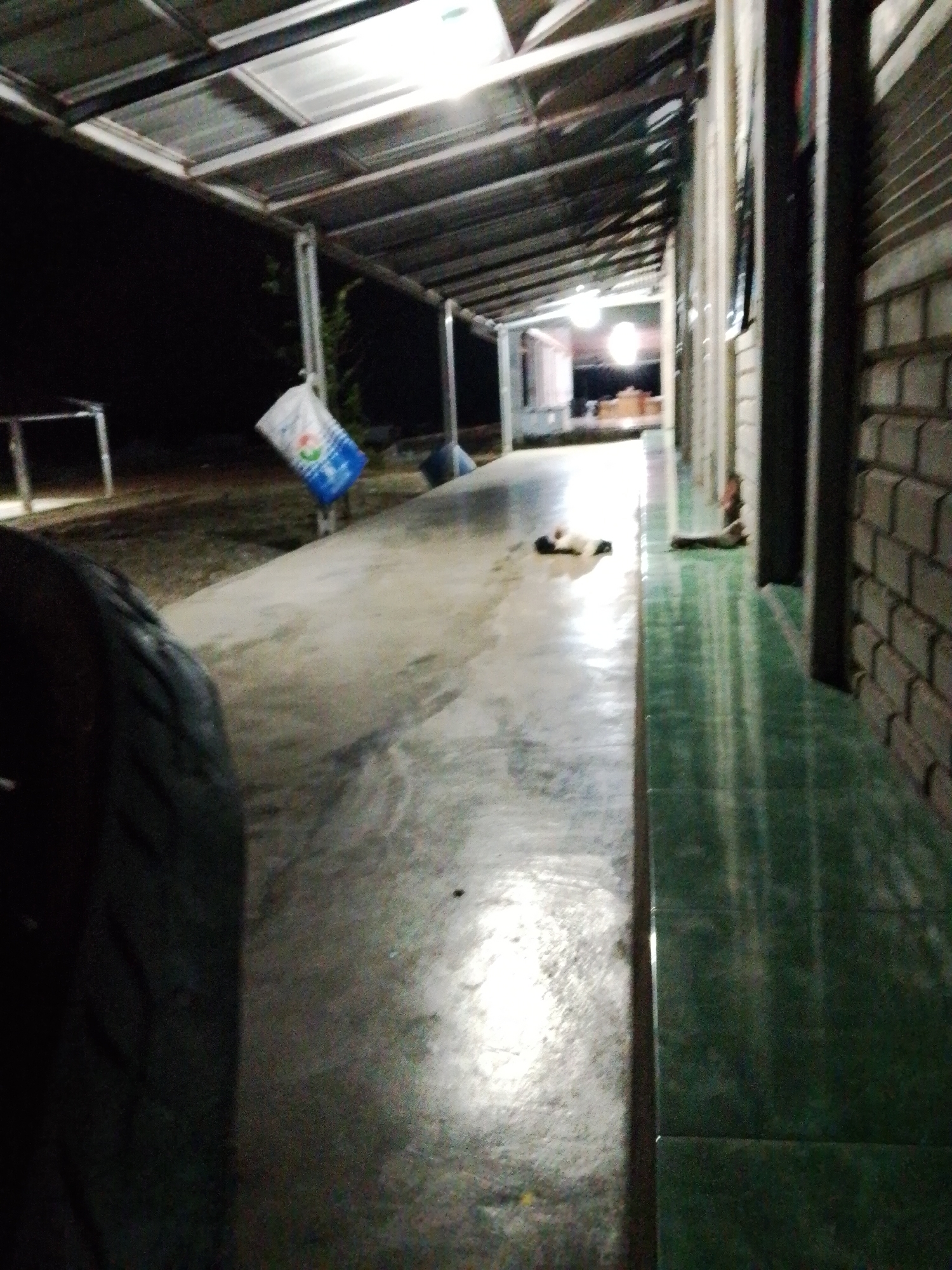 The image, taken in Bukit Ketok, Indonesia, shows an open-sided shelter or walkway at night. The area is illuminated by overhead lights. The floor is a combination of concrete and green tile. Along the right side is a brick wall with windows. A bag and some containers are visible to the left. A dark object resembling a tire is in the lower left foreground, partially obscuring the view. In the distance, figures that may be cats are lying on the ground.