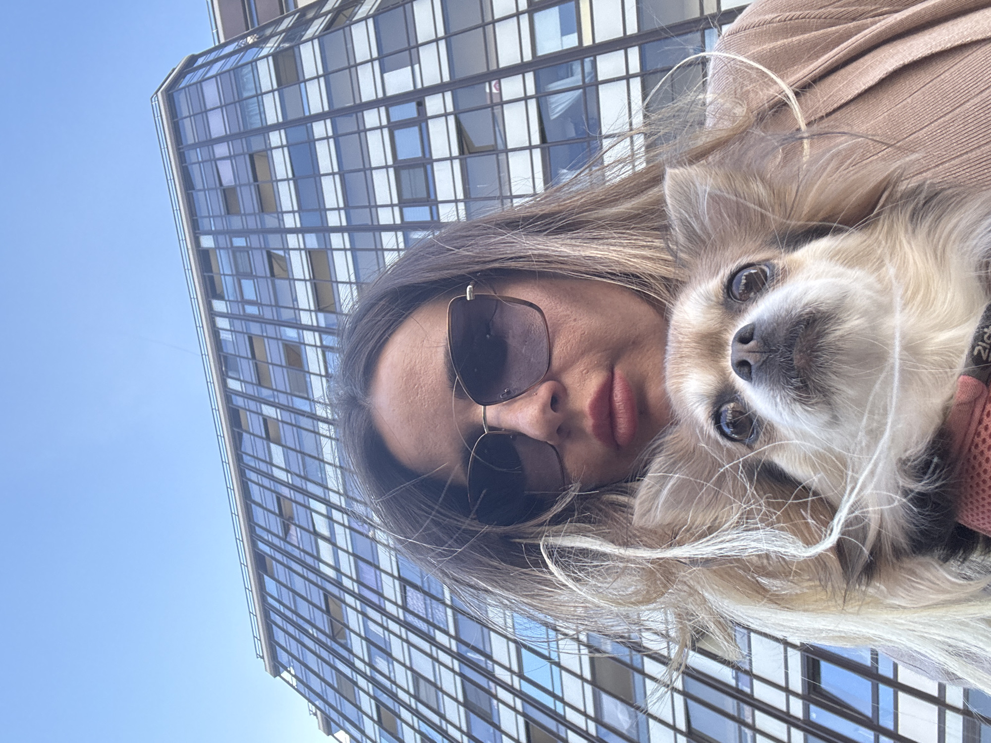 A close-up, selfie-style photograph captures a person and a small, long-haired dog outdoors. The image is rotated approximately 90 degrees clockwise.
The primary subjects are a person with long, light brown hair, wearing dark, reflective sunglasses with gold frames, and a fluffy, light brown and white dog. The dog, positioned close to the person's face, has large dark eyes and a black nose, and appears to be looking towards the camera. Part of a pink or red harness is visible on the dog. The person's face is largely obscured by the sunglasses, which reflect the sky. They are wearing a ribbed, light brown garment.
In the background, a modern, tall building with a distinctive facade of reflective blue and white windows dominates the frame. The building's grid-like pattern creates geometric reflections. A clear, bright blue sky is visible in the upper left quadrant of the image.
The activity depicted is a casual moment between an owner and their pet, likely a selfie taken in bright daylight. The clear sky suggests sunny weather. The location context provided is Saint Petersburg, Russia.
A small, white tag or label is partially visible on the dog's harness, displaying what appears to be "2LD" or "2ID" in black text.