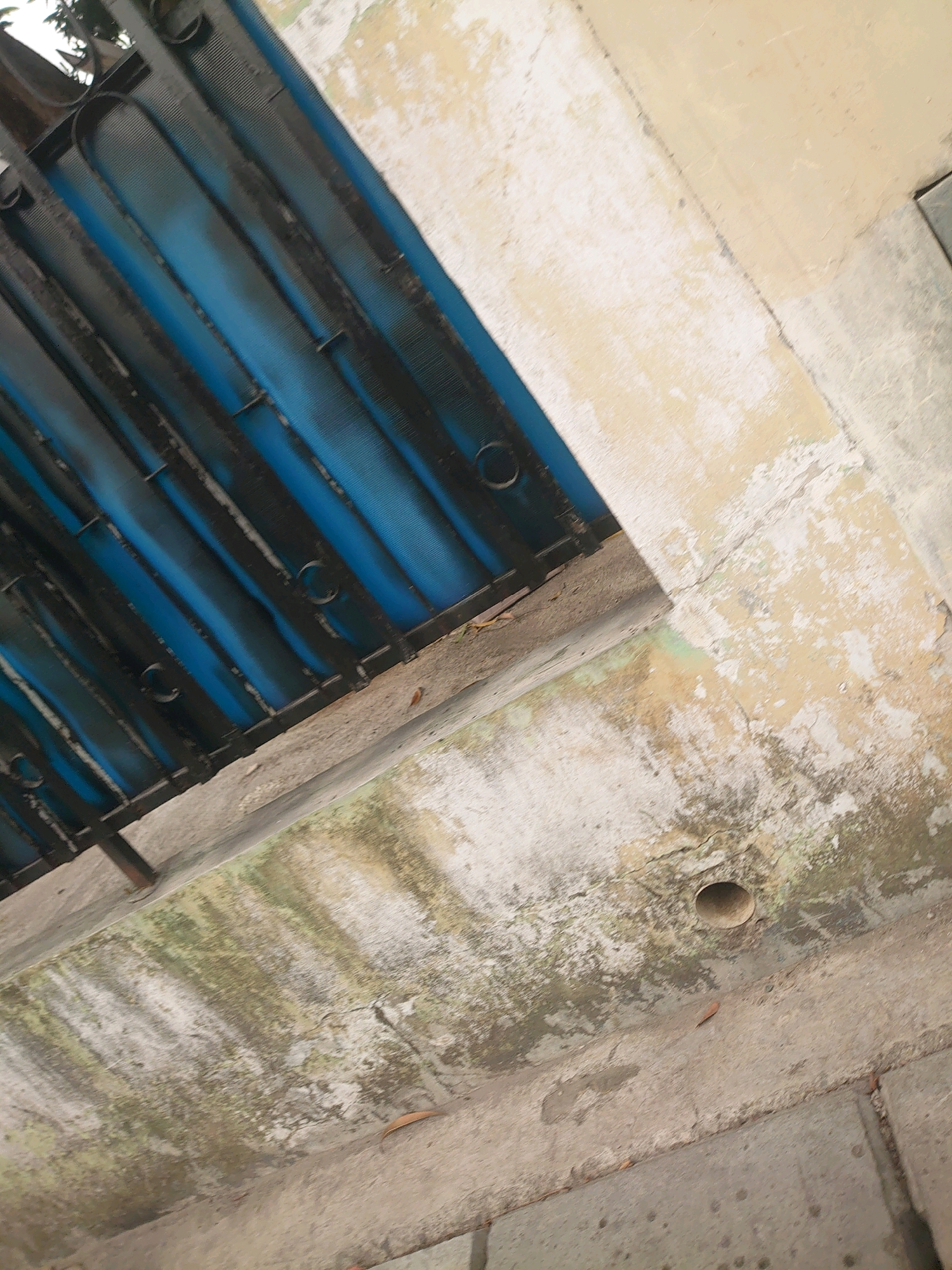 The image depicts a section of a building's exterior in Depok, Indonesia. In the upper left, a dark metal grate is visible, partially covering a blue corrugated material, possibly a roof or wall covering. The grate has several circular openings. To the right and extending downwards, the wall is a light beige color with areas of peeling paint and discoloration, showing patches of green and gray, suggesting wear and exposure to the elements.
Below the wall, a concrete surface is visible, with significant staining and patches of green algae growth, indicative of moisture and dampness. This concrete area slopes downwards and to the right. A small, circular drainage pipe opening is visible in the concrete surface. A few dry leaves are scattered on the concrete. The overall scene suggests an outdoor area of a building that may be experiencing some water damage or needs maintenance.