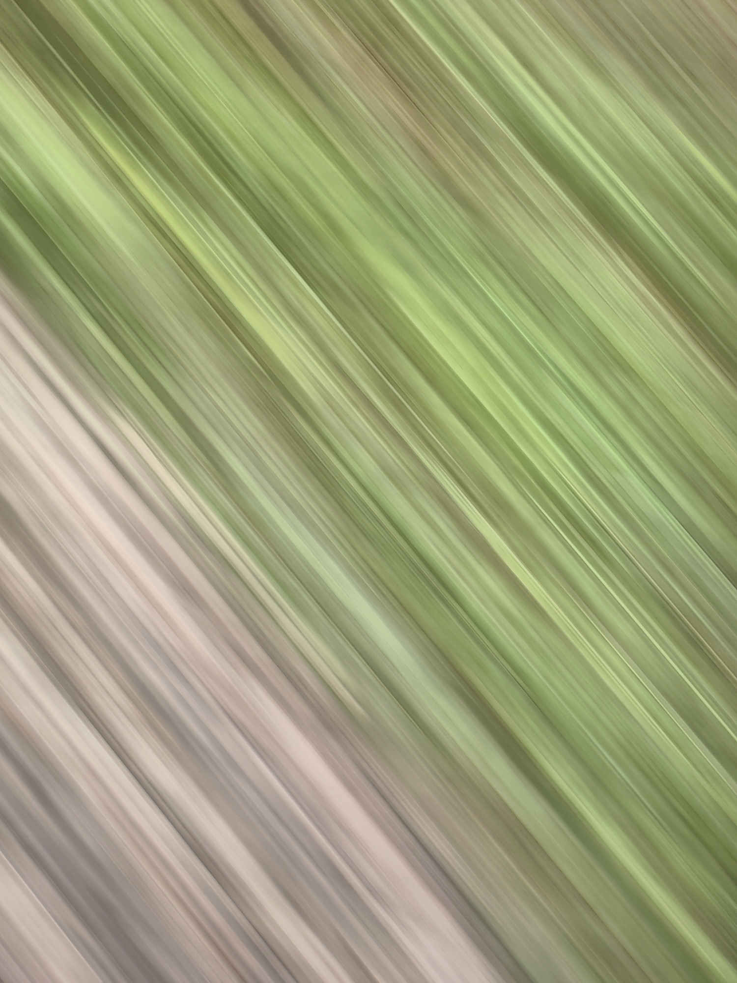 This is an abstract image featuring diagonal lines of varying shades of green and beige. The lines are blurred, creating a sense of motion or texture. There are no discernible people, subjects, objects, actions, interactions, or environmental features that can be identified. Therefore, the location in Baghwar, India, cannot be determined from the visual information provided.
