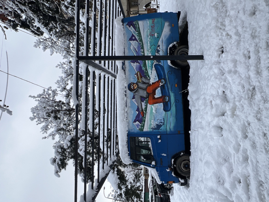 A blue van adorned with a vibrant mural of a snowboarder is parked amidst a snowy landscape. The mural features mountains and a rider in action. Thick snow blankets the vehicle's roof and surrounding ground. A dark metal fence with snow-covered crossbars stands nearby. Bare, snow-laden trees and a gray sky complete the winter scene.