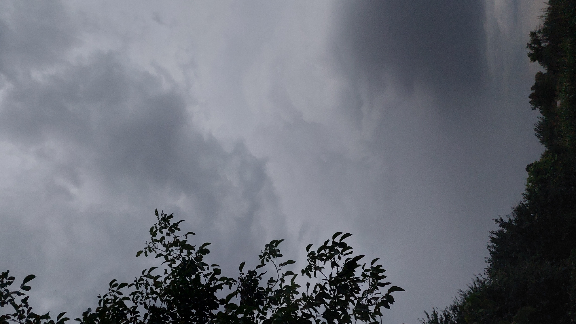 The image depicts a landscape with a dark, overcast sky filled with heavy clouds, suggesting an impending storm. In the foreground, a portion of a tree with dark green leaves is visible on the left side, its branches reaching upwards. The lower part of the image shows a dense line of dark green trees and foliage, forming a horizon against the dramatic sky. The overall impression is one of a somber, natural scene, likely captured in the rural outskirts of Kozarovychi, Ukraine, during an overcast day.