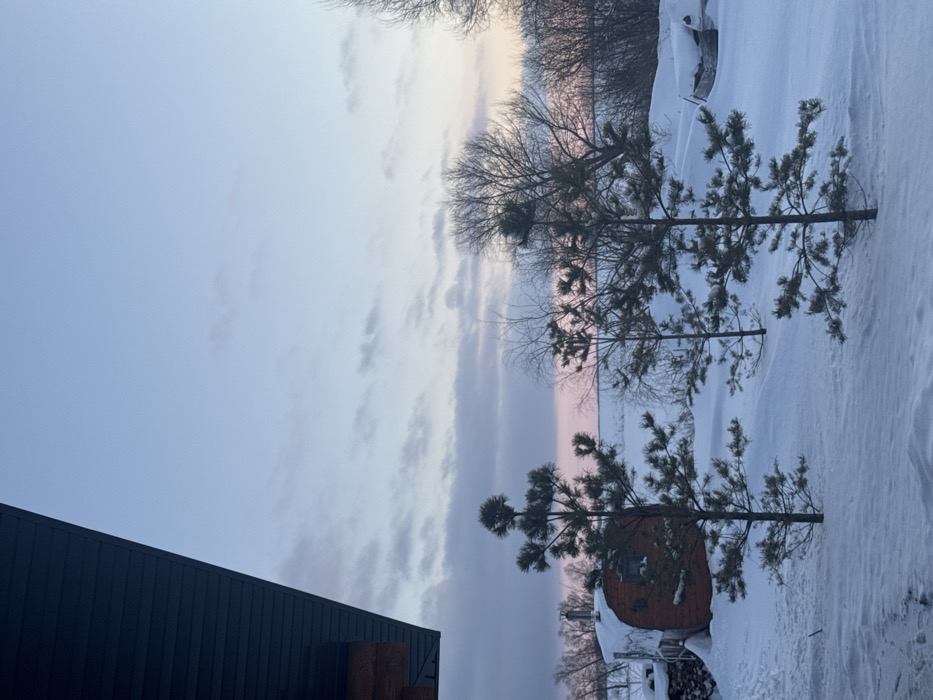 The image displays a snow-covered outdoor scene during twilight hours, located in the city of Unknown, Unknown. The sky exhibits a gradient from pale blue overhead to a soft pink and orange at the horizon, with horizontal grey stratocumulus clouds across the mid-sky. A dark grey, slatted roof overhang is visible in the upper left corner. The ground is uniformly covered in deep, white snow. In the midground, several coniferous trees with green needles and some snow accumulation are present, with the tallest centered. Behind these, bare deciduous trees with visible branches extend towards the distant horizon. To the left midground, a cylindrical, reddish-brown wooden structure, resembling a sauna or small cabin, features a small rectangular window and a metal chimney, with snow piled on its roof and base. Adjacent to this structure on the left is a stack of snow-covered logs. No individuals or active subjects are present in the scene.