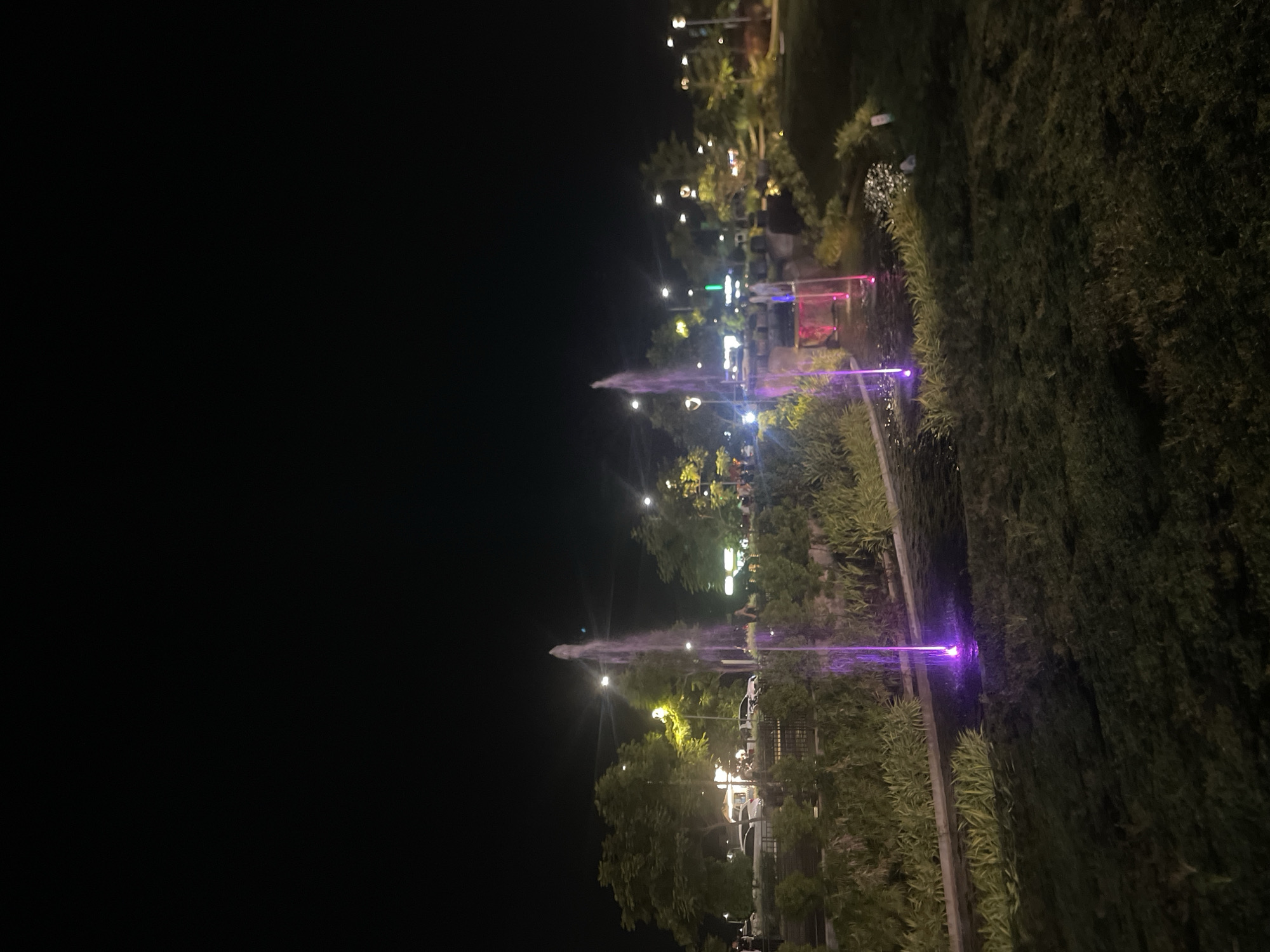 The image shows a night view of a park with illuminated fountains. The scene features multiple fountains lit with purple and other colored lights. Trees and other greenery surround the fountains. Street lights and possibly other artificial lighting illuminate the area. The location is unknown.