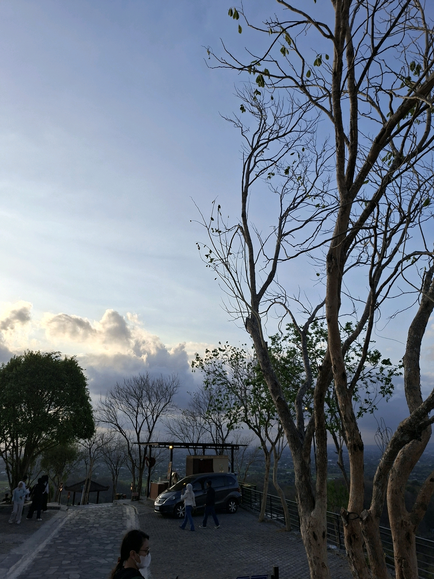 The image shows an outdoor scene at what appears to be a scenic viewpoint in Pleret, Indonesia. The sky is a pale blue with scattered, wispy clouds, some of which are illuminated by soft, diffused light, suggesting either early morning or late afternoon. In the foreground, a person wearing a face mask is visible from the shoulders up, looking away from the camera.
To the right of the frame, a large tree with bare branches dominates the view. Its trunk and limbs are prominent, with a few small green leaves still clinging to its upper branches. Behind this tree, more trees with sparser foliage and some bare branches are scattered across the landscape.
Further back, a paved area with a stone-like pattern forms a pathway or plaza. Several people are seen walking on this paved area. Some are dressed in light-colored clothing, including a person in a white hijab and blue jeans, and another in a light blue tracksuit. A dark-colored minivan is parked on the paved area, with its headlights on.
In the mid-ground, there are structures that appear to be shelters or pavilions, with dark roofs and supporting posts. A railing runs along the edge of the viewpoint, overlooking a valley or expanse of land below, dotted with buildings and trees. The overall impression is a tranquil, elevated spot offering a view of the surrounding landscape, likely a tourist or recreational area.