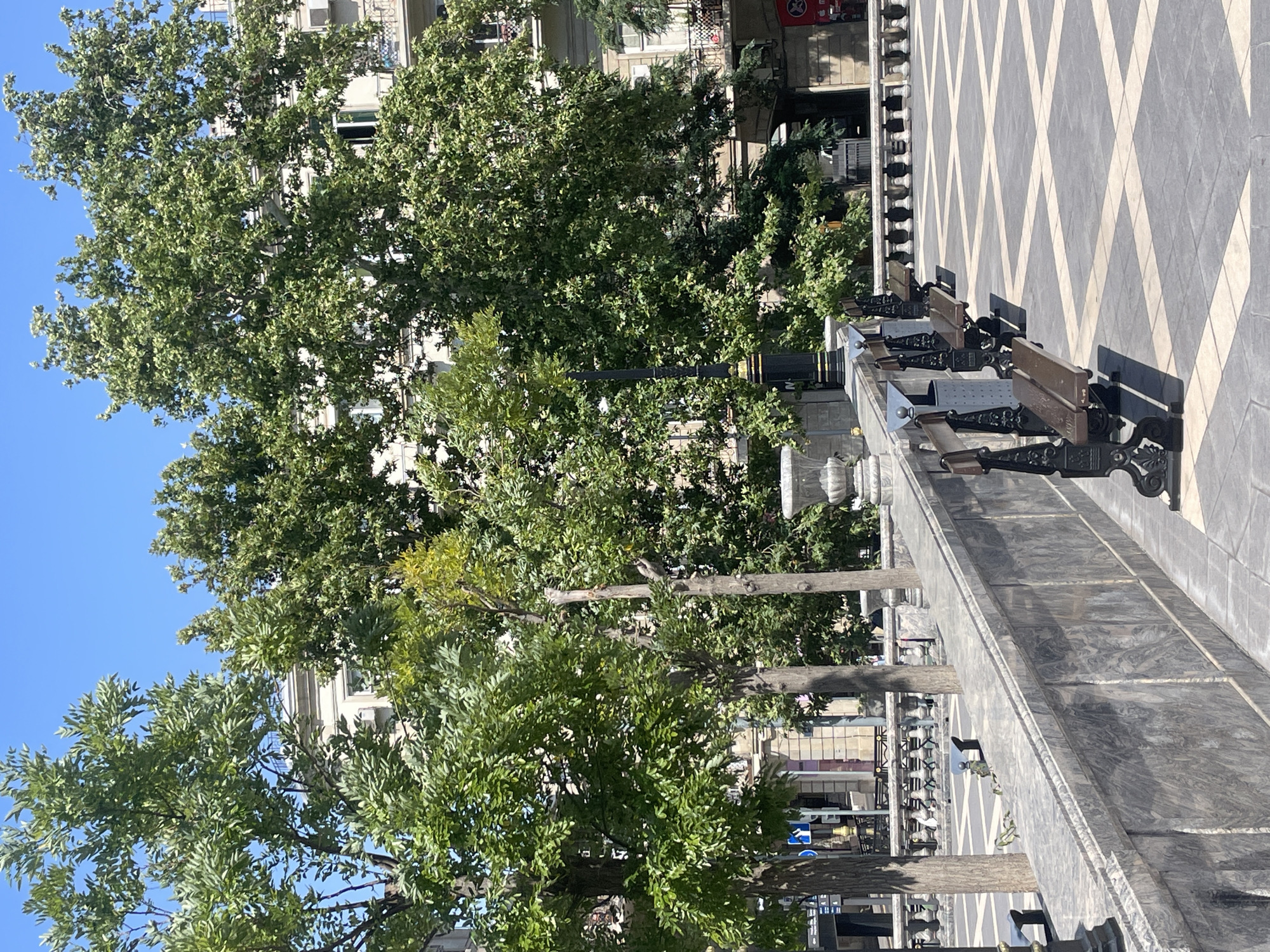 This is an outdoor, eye-level, medium shot captured on a sunny day, likely during daylight hours, in Baku, Azerbaijan. The image showcases a public space featuring a paved area with a geometric pattern of light and dark tiles. A marble wall with ornate railings lines the upper portion of the scene, separating the paved area from a lower level. Several dark-colored benches with wooden seats and intricate black metal legs are arranged along the wall. Behind the wall and benches, lush green trees with full canopies dominate the mid-ground, their leaves a vibrant green. In the background, a multi-story building with light-colored facade, windows, and balconies is visible through the foliage. The sky is a clear, bright blue. No people are visible in the image.