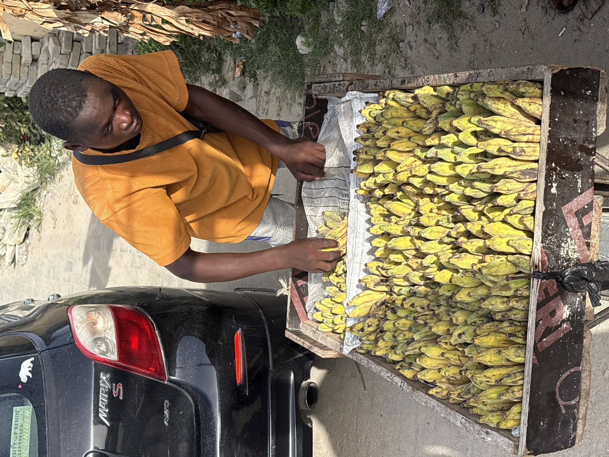 A man in an orange shirt is standing next to a black car with a license plate that says "UNIVERSITY OF BENIN UNIBEN." The car is a Matrix S. The man is reaching into a cart filled with plantains. The cart appears to be made of wood. The scene is in Igboefon, Nigeria.