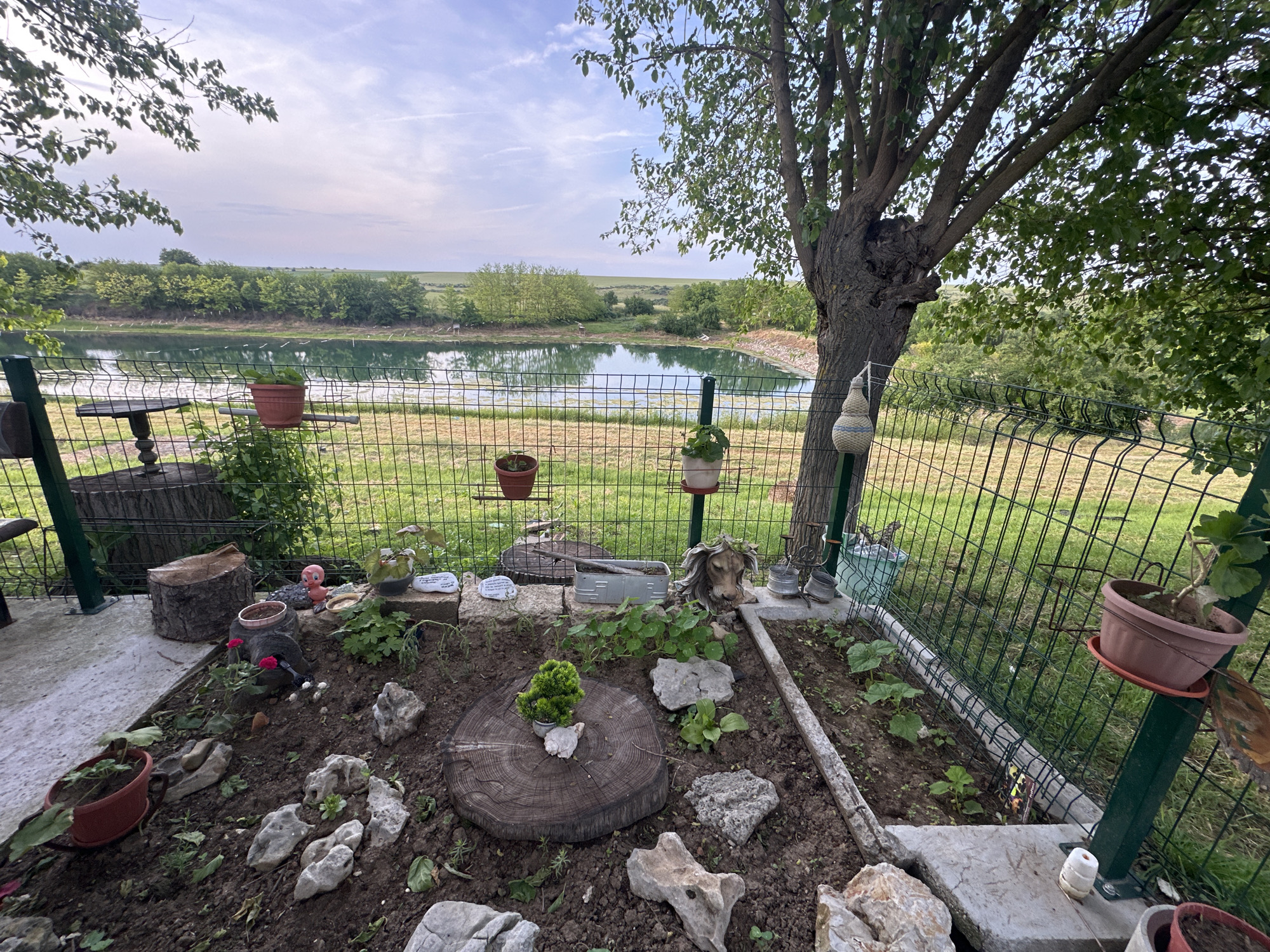 The image presents a serene outdoor scene, likely a private garden area overlooking a body of water in Sirakovo, Bulgaria. The foreground features a small, curated garden bed with dark soil, numerous light-colored rocks, and various small green plants, including one with red blossoms. Decorative elements like a small green potted plant on a tree stump, a pink pig figurine, and a lion-head sculpture covered in greenery are arranged within the garden. A large, mature tree with a textured trunk stands prominently on the right, its leafy branches extending over the upper portion of the frame. A distinctive white, woven gourd-like ornament hangs from one of its branches.
A green metal fence runs across the mid-ground, dividing the cultivated garden from the more natural landscape beyond. Several potted plants are affixed to the fence posts, and a small, dark wooden table or stool is partially visible behind the fence on the left.
Beyond the fence lies a calm body of water, likely a pond or small lake, reflecting the overcast sky and the trees on its far bank. The water's edge is lined with green grass and some reeds. The background consists of a dense line of trees bordering the water, followed by gently rolling green hills and fields that extend to the horizon under a partly cloudy sky.
The time of day appears to be daytime, possibly late morning or afternoon, characterized by soft, diffused lighting. The weather is partly cloudy to overcast. The overall atmosphere is peaceful and tranquil, showcasing a blend of cultivated nature and the wild countryside. No legible text is visible in the image.
