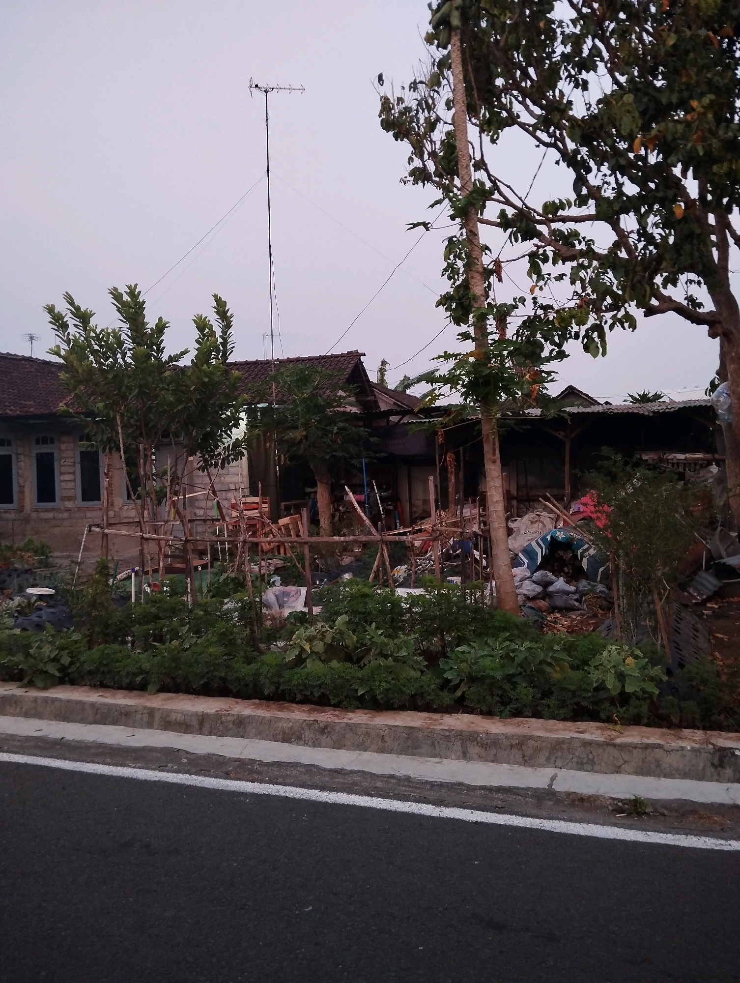A medium shot captures an exterior scene of a dwelling and its surroundings in Salatiga, Indonesia, under an overcast sky. The foreground features a section of a road with a white dividing line. Beyond the road is a raised concrete curb, topped with a line of lush green vegetation.
The middle ground is dominated by a collection of structures that appear to be houses or sheds, some with corrugated metal roofs. One building on the left has a brick wall and several rectangular windows with grey frames. In front of these structures, a rustic wooden fence is visible, constructed from branches and poles. Various items are scattered around, including what appear to be gardening tools, crates, and some bagged materials. Several trees of varying sizes are present, with dense foliage.
The background shows more of the buildings and trees, with the sky a pale, undifferentiated gray. A tall antenna with multiple horizontal elements stands prominently in the sky. The overall impression is one of a lived-in, perhaps slightly unkempt, residential area.