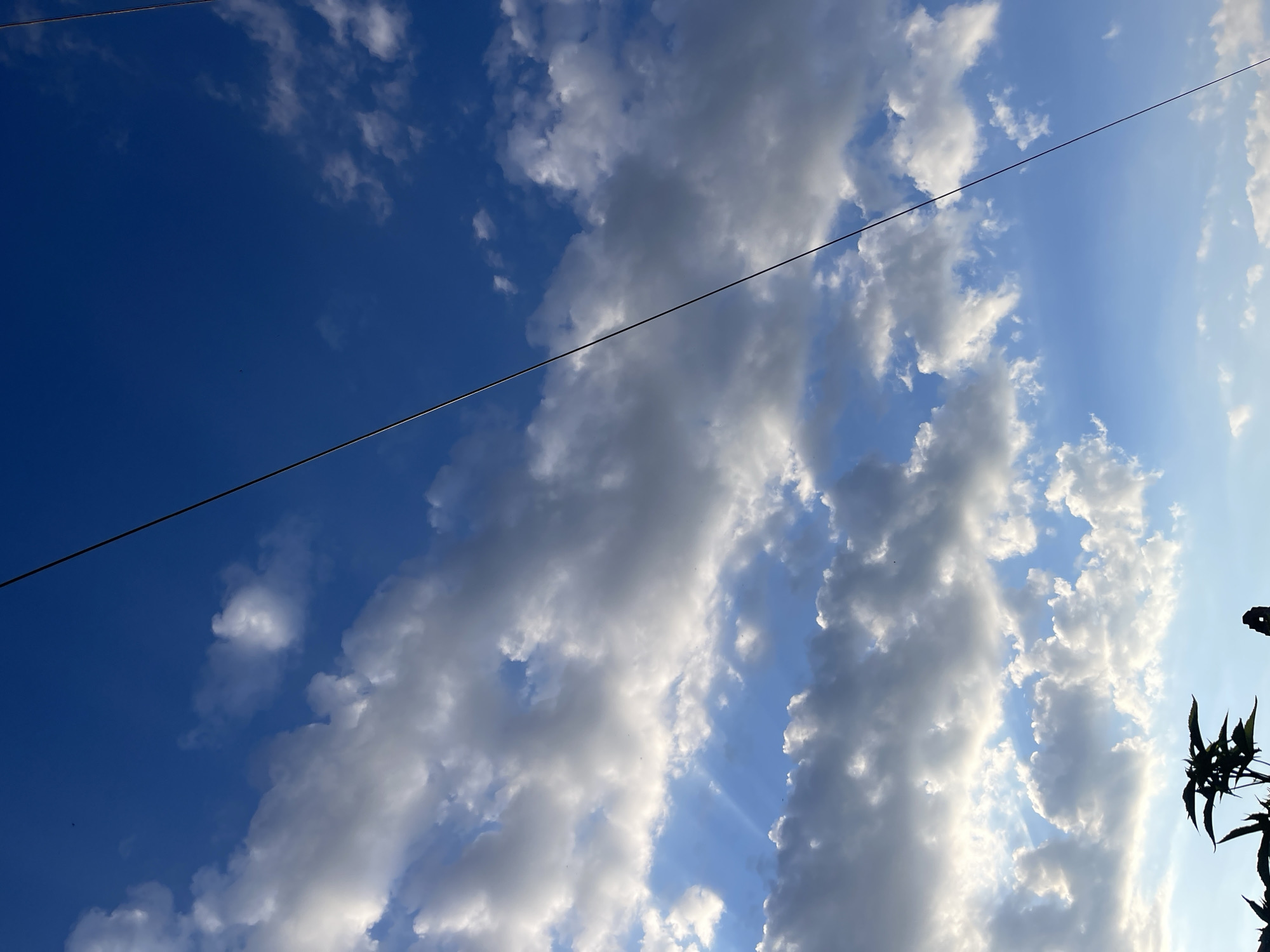 This media file captures a view of the sky from Donskoye, Russia, on a clear day. The scene is dominated by a vibrant blue sky filled with fluffy white and gray clouds. A thin, dark wire stretches diagonally across the frame, suggesting the presence of overhead power lines or telecommunication cables. The lighting indicates it is daytime, likely late afternoon or early evening, given the soft light and subtle sunbeams breaking through the clouds. In the lower right corner, the silhouette of dark green foliage is visible, adding a touch of nature to the skyward perspective. No people, text, or specific events are depicted.