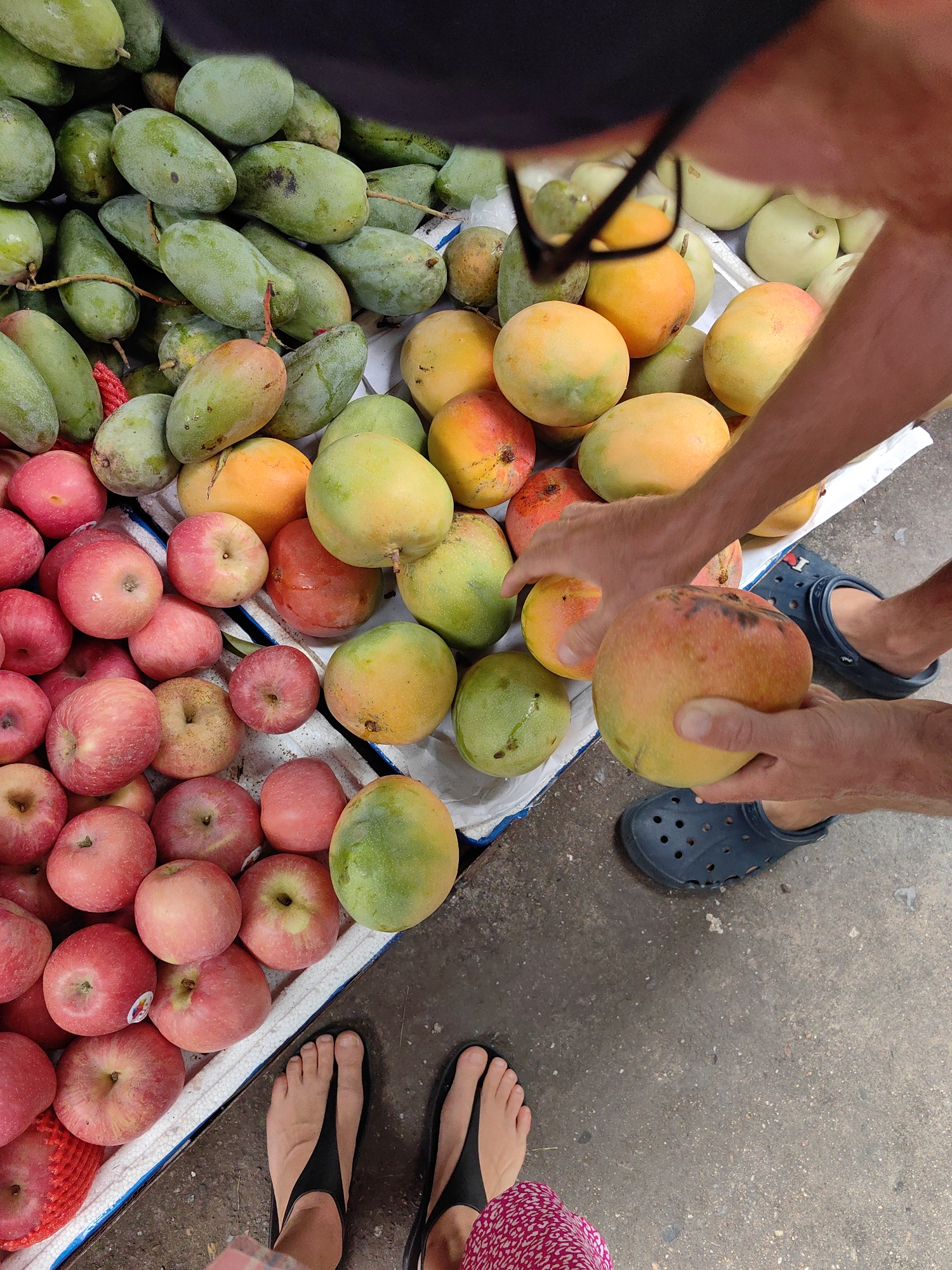 The image captures a scene at what appears to be a fruit stall. A person wearing blue Crocs is selecting a ripe mango from a crate of assorted fruits, including green mangoes, yellow and orange mangoes, and red apples. Another person stands nearby, wearing black sandals and a pink patterned dress. The setting appears to be outdoors, with a concrete floor visible. This image was taken in the city of Ha Long Ward, Vietnam.