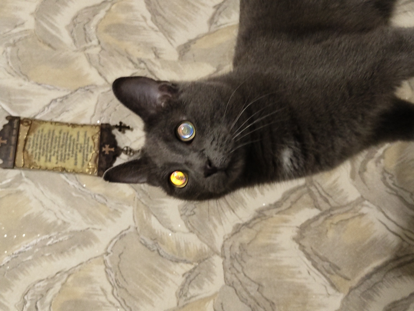 A medium shot photograph taken from a low angle shows a dark gray cat with glowing, multi-colored eyes and a religious artifact hanging on a patterned wall. The cat's head is in the foreground, facing slightly upward and to the left, with its eyes reflecting a mixture of yellow, orange, blue, and purple light. The artifact, positioned above and behind the cat's head, is a dark wooden plaque with a scroll-like paper attached, featuring text and decorative crosses. The wall behind the cat and artifact has a light-colored, textured pattern resembling abstract mountains or waves, with subtle sparkles. The cat's fur is short and appears sleek. The lighting is dim, with the primary illumination coming from the reflection in the cat's eyes, suggesting a flash or direct light source from the viewer's perspective. The scene is indoors, with the background indicating a domestic setting.