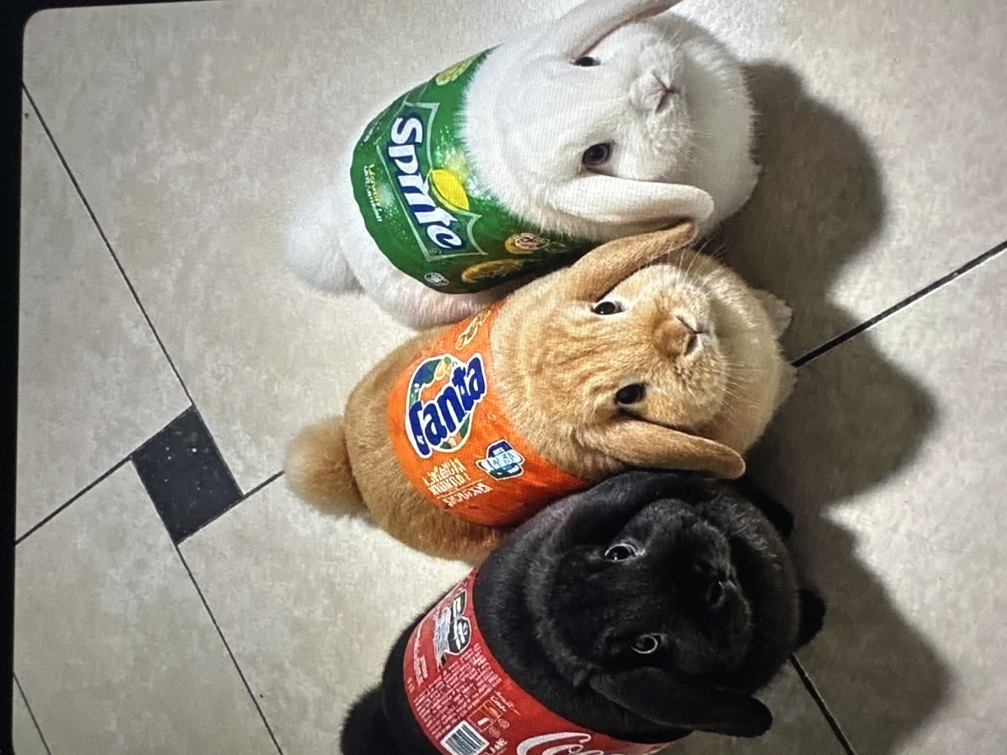 Three young rabbits are positioned in a row on a tiled floor. The rabbit on the left is black and wears a Coca-Cola label around its body. The middle rabbit is light brown and is adorned with a Fanta label. The rabbit on the right is white and is dressed in a Sprite label. The floor is made of light-colored tiles with dark grout lines, and a black square tile is visible in the upper left corner of the image. The rabbits are facing the camera. The image does not provide any information about the city of Tallinn, Estonia.