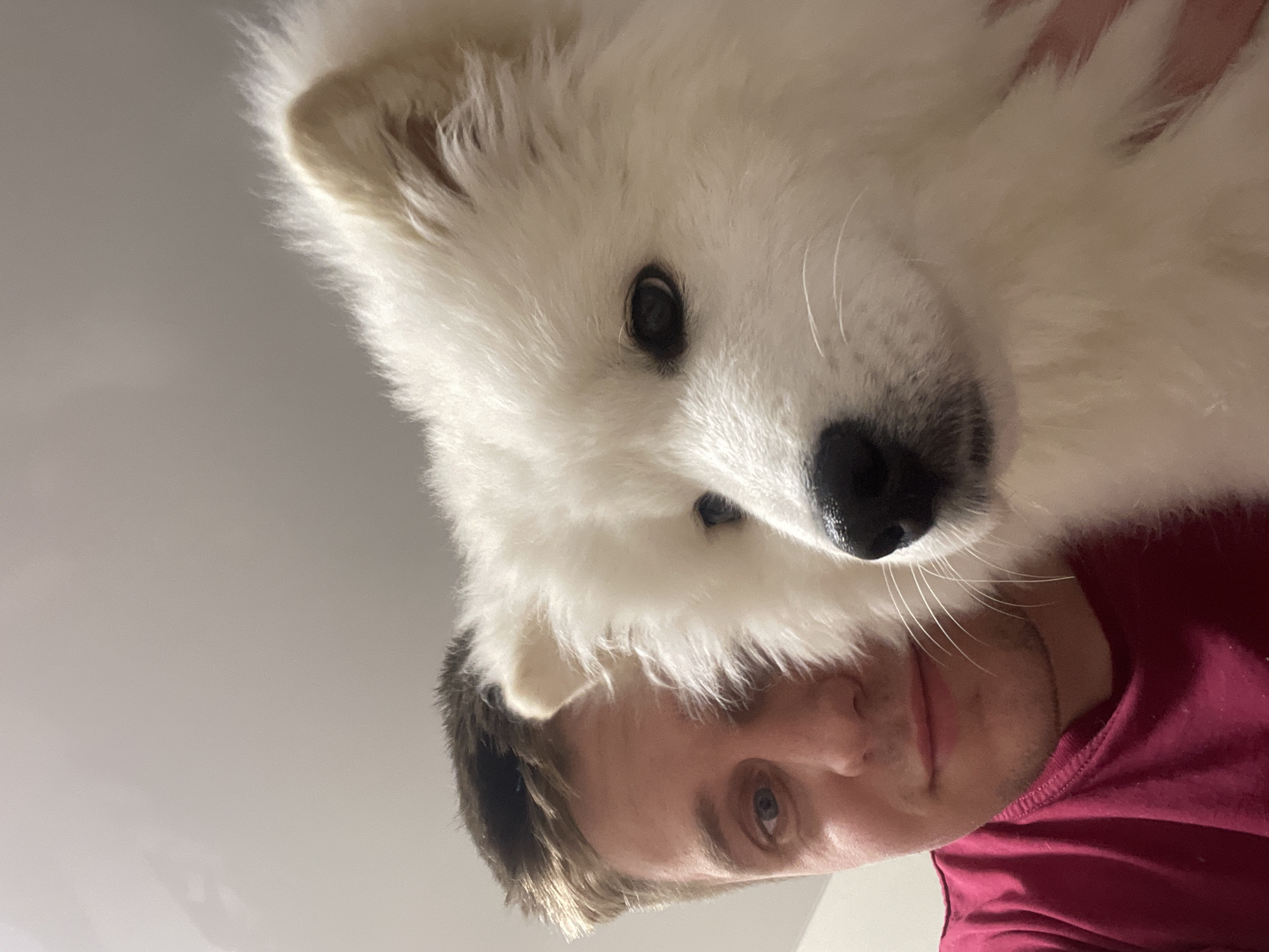 A man in a maroon shirt is holding a white dog up to the camera. The dog's face takes up the majority of the frame, with the man's face visible below. The background is a plain, light-colored wall. The location is Unknown, Unknown.