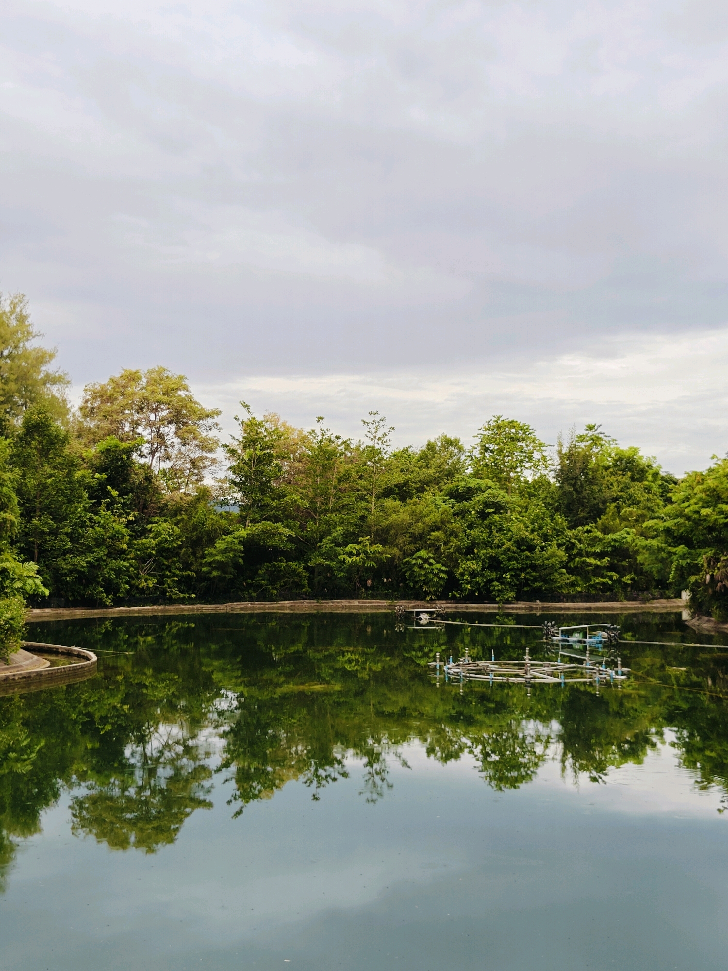 The image depicts a tranquil outdoor scene, likely a man-made pond or reservoir, situated in the Mu Si, Thailand area. The foreground is dominated by the still, reflective surface of the water, which mirrors the lush green foliage of trees and the overcast sky above. A curved concrete edge is visible along the left side of the pond. In the water, a structure resembling a floating aeration device or equipment can be observed, with several interconnected pipes and rotating components. This structure is also reflected in the water. The background is filled with a dense canopy of various green trees, some with hints of lighter foliage, suggesting a natural or cultivated green space. The sky is predominantly a muted gray with soft clouds, indicating a possibly overcast or early morning/late afternoon lighting condition. No people or animals are present in the frame. The overall impression is one of peaceful natural beauty.