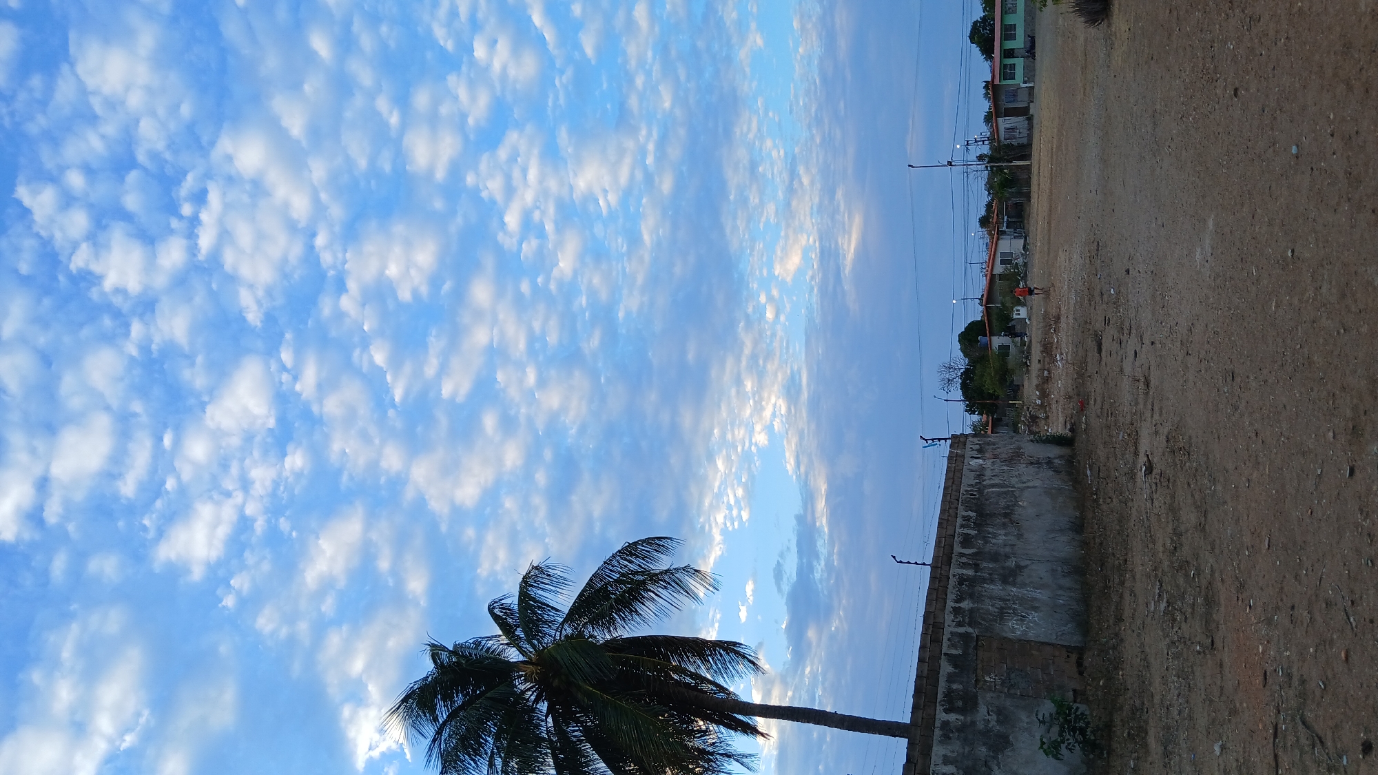 The image depicts a landscape view in Altagracia, Venezuela. The sky dominates the upper portion, showcasing a blue expanse interspersed with numerous small, fluffy white clouds. In the lower left corner, a palm tree is visible, with its fronds appearing dark against the bright sky. To the right of the palm tree, a concrete wall runs along the mid-ground, showing signs of weathering. Beyond the wall, there's a dirt area that extends further into the background. In the distance, some buildings and utility poles can be observed. A single person wearing a red shirt is visible on the field in the distance.