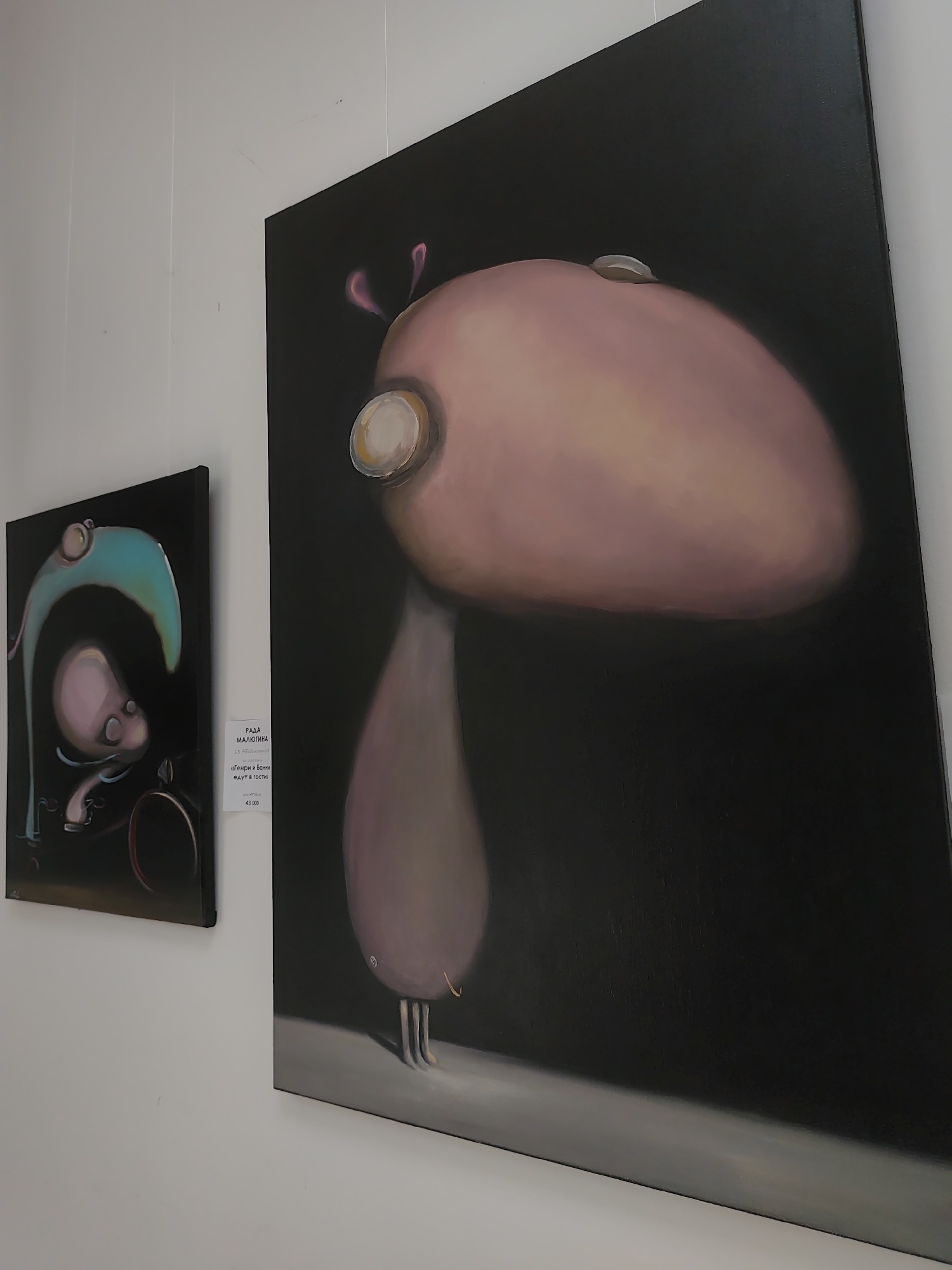 This media file shows two paintings displayed on a white wall. The larger painting on the right features a surreal, cartoonish figure with a large, pink, oval-shaped head with a single large eye. The figure has thin, spindly legs and a small golden appendage extending from its back. The background is dark, with a light grey surface at the bottom.
To the left, a smaller, similarly surreal painting depicts two abstract figures, one pink and one with a turquoise-colored form, against a dark background. This painting also has a circular element.
Below the smaller painting, a white label is visible with text. The visible text includes: "РАДА МАЛЛЮТИНА", "15 НЕДЕЛЯ", and "«Гендри и Божки едут в гости»". Below this, "43 000" is displayed, likely indicating a price.
The setting appears to be an art exhibition or gallery in Sochi, Russia, given the location context. The lighting suggests an indoor environment, possibly during daytime. The overall mood conveyed by the paintings is whimsical and slightly enigmatic.