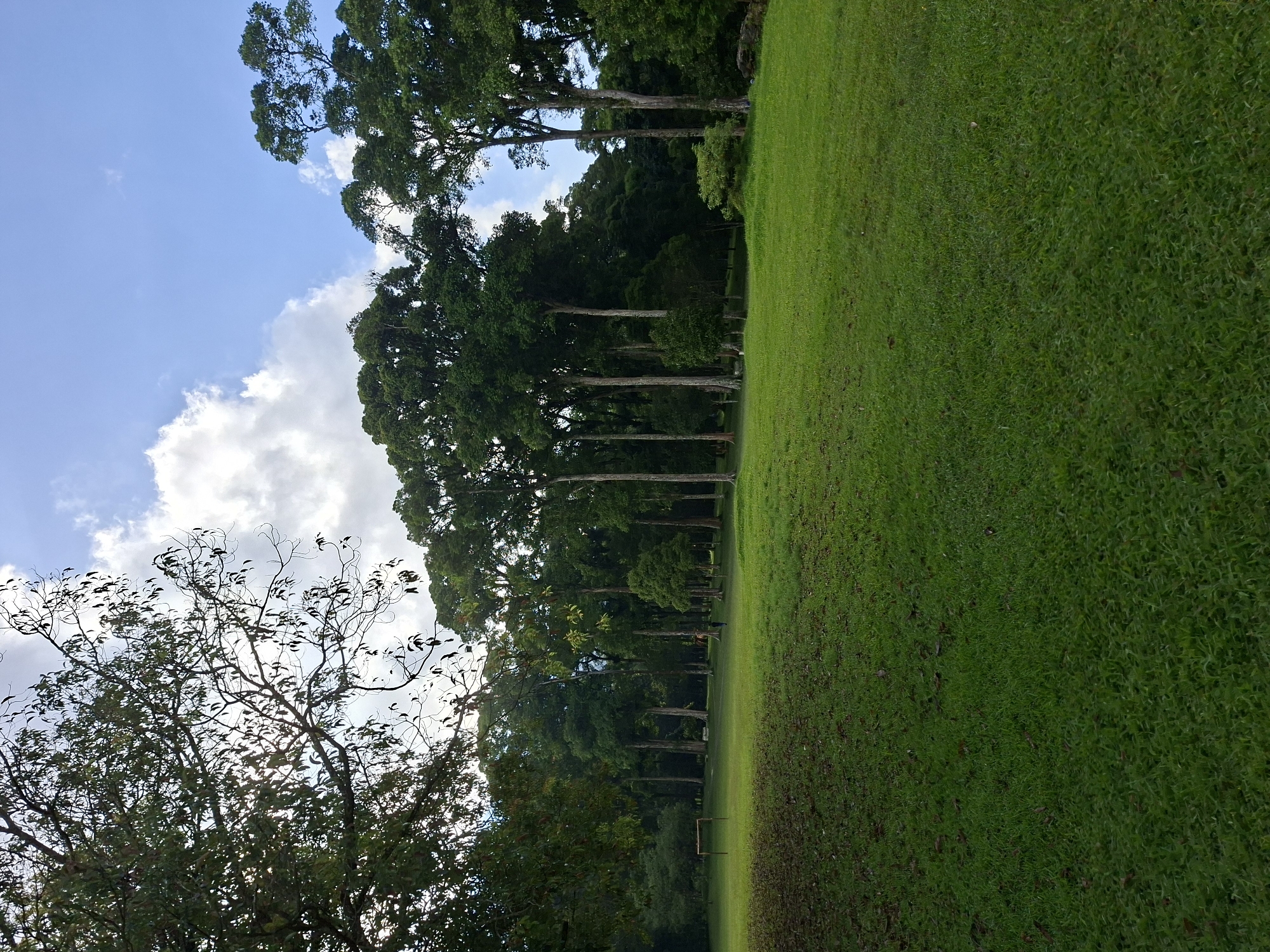 The scene is a lush, green field with trees lining one side. The field appears to be well-maintained. A set of soccer goals sits on the far side of the field. The sky is visible above the trees, displaying blue patches and white clouds. The scene appears to be located in the city of Baturiti, Indonesia, because the image came from a set of images of that location.