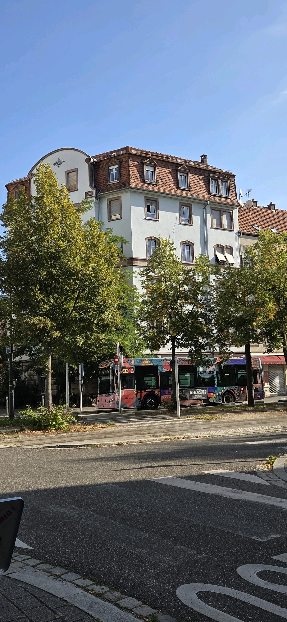 The image shows a brightly colored, artistic bus stopped at a crosswalk on a sunny day in Strasbourg, France. The bus is adorned with various patterns and the words "THE DOG STARS". Behind the bus, a light blue building with a red tile roof and dormer windows rises into a clear blue sky. Lush green trees with yellowing leaves flank the building and line the street, casting shadows on the asphalt. A pedestrian crossing is visible in the foreground, marked by white stripes on the dark grey road. The scene is typical of an urban environment in late summer or early autumn.
