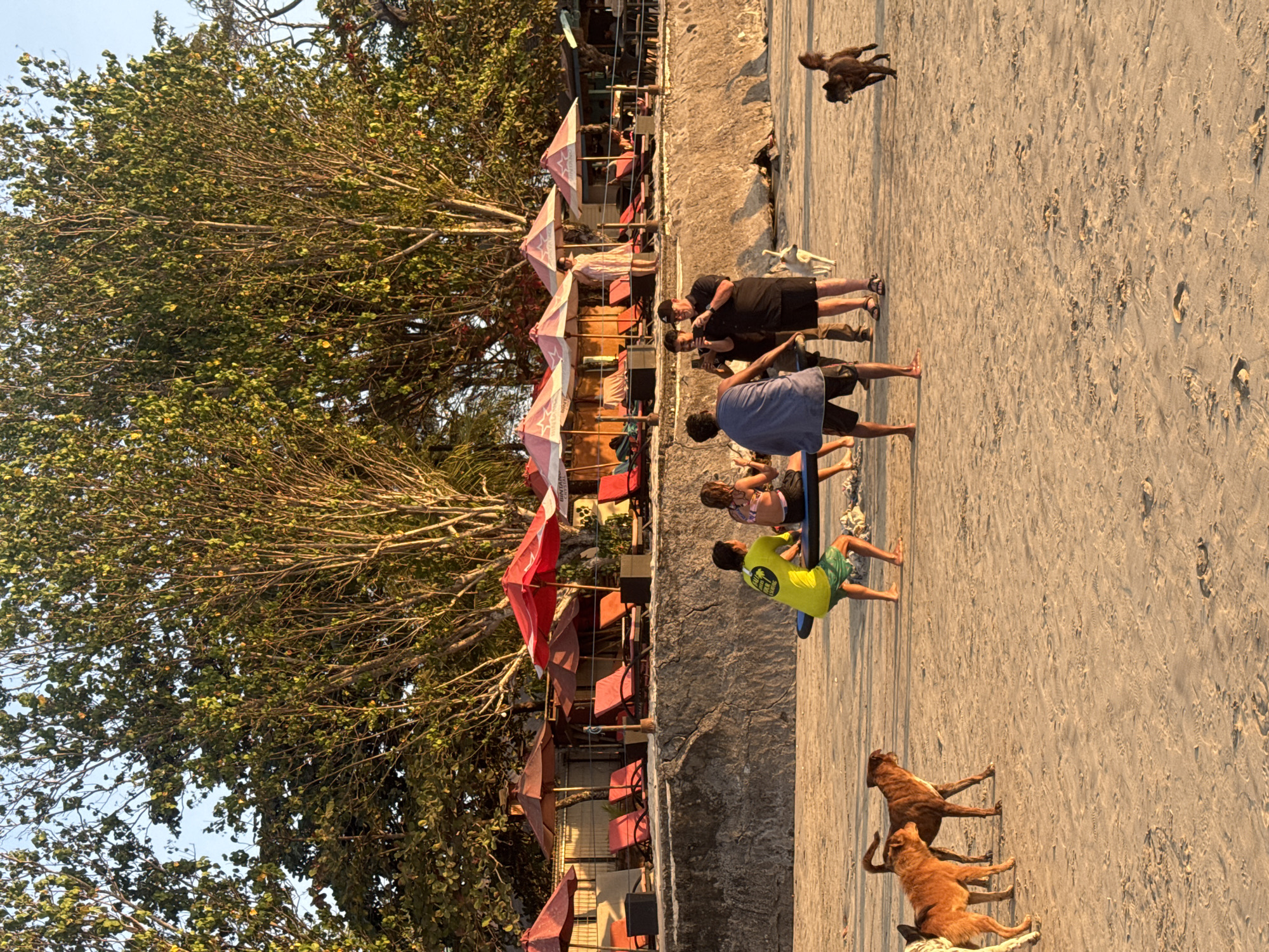 The image depicts a beach scene in Kuta Selatan, Indonesia, during the late afternoon. In the foreground, two brown dogs are walking on the sand. Further back, a group of people are gathered. One man in a black shirt and shorts is taking a picture with his phone, while another man in a blue shirt and shorts is holding a camera. A woman in a pink and white striped dress stands on a raised concrete wall behind a row of red lounge chairs and umbrellas, which are set up in front of a building. To the left of the main group, a person in a yellow shirt and green shorts is standing on a blue surfboard. Two other dogs are also visible on the beach; one is light-colored and walking towards the right, and a dark-colored dog is running in the background. The sand is lightly textured with footprints, and the water is not visible in the frame. The backdrop consists of lush green trees under a clear blue sky.