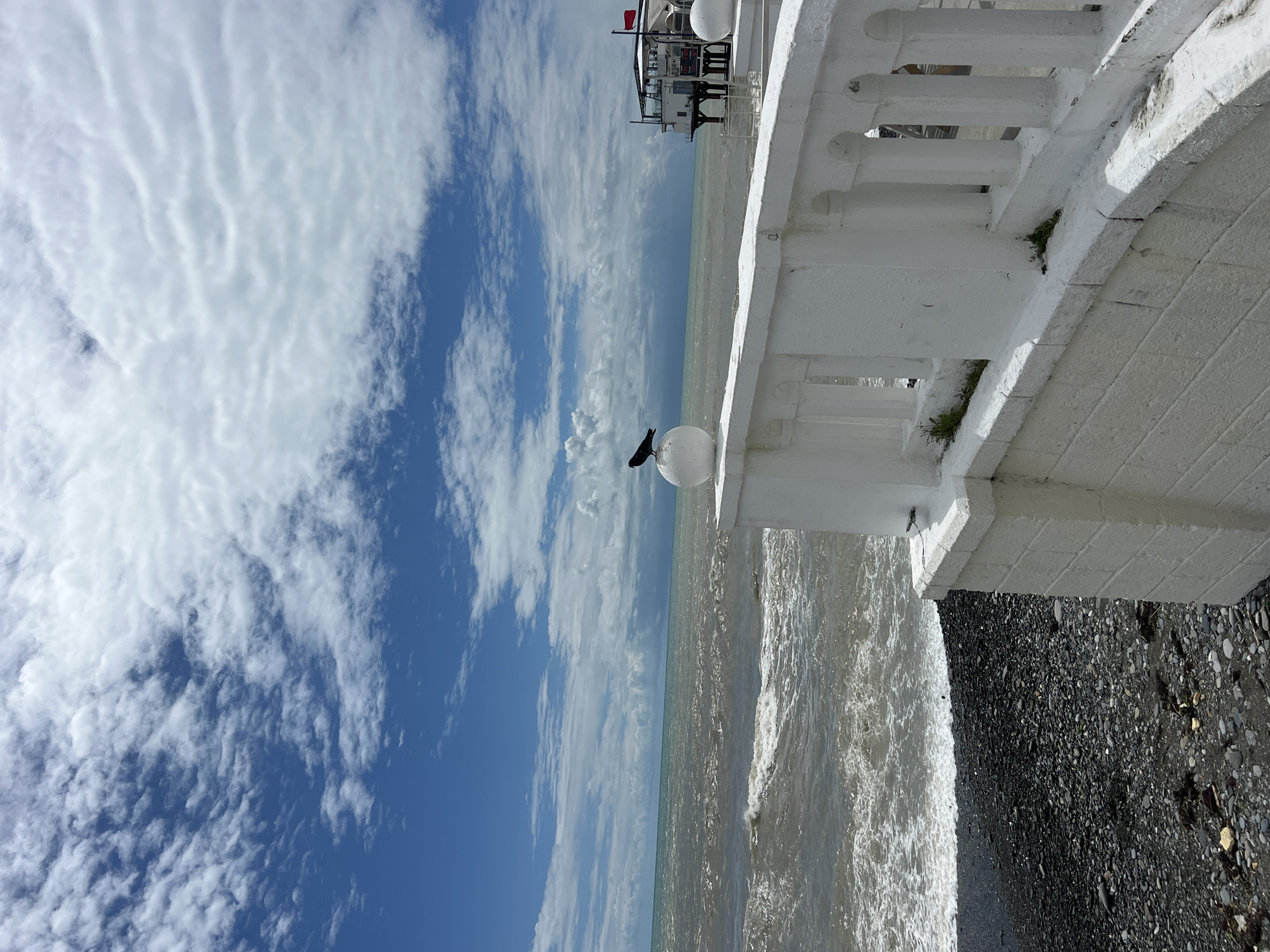 The image shows a waterfront view in Sochi, Russia. A white balustrade runs along the right side of the frame, with a black bird perched on a spherical light fixture attached to it. Beyond the balustrade, the sea stretches towards the horizon, with a cloudy sky above. Waves are crashing against a pebble beach in the lower right corner of the image. A building can be seen in the background.