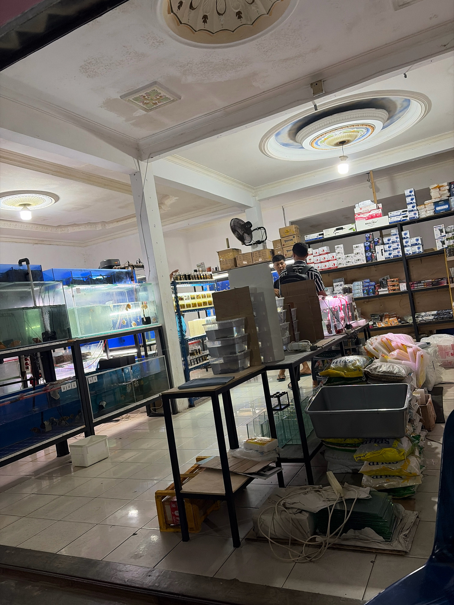 The image depicts the interior of a pet or aquatic supply store in Tanjung Pinang, Indonesia. The store features multiple tiered shelving units filled with various products, including boxes of what appear to be pet food or supplies, and rows of smaller containers, possibly for fish or other small animals. Prominently displayed are large, glass aquariums filled with water and fish, arranged on metal stands. One section of the store shows a man with a backpack standing near a display, and another man is partially visible in the background. The ceiling has decorative elements, including patterned panels and circular light fixtures. The floor is tiled with a checkered pattern. Items like plastic bags, storage containers, and coiled electrical cords are also visible on the floor and shelves, indicating merchandise and operational supplies. The lighting suggests it is daytime, with artificial lights also illuminating the space.