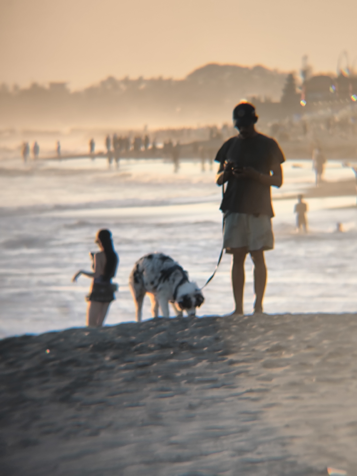 The image shows a beach scene at dusk, with a man and a woman near the shoreline. The man stands on the beach with a dog on a leash. He appears to be looking at something in his hands. The woman stands in the shallow water, facing the sea. Other people are visible in the background, walking along the beach or standing in the water. The backdrop shows a hazy skyline, possibly due to mist or the sunset.
