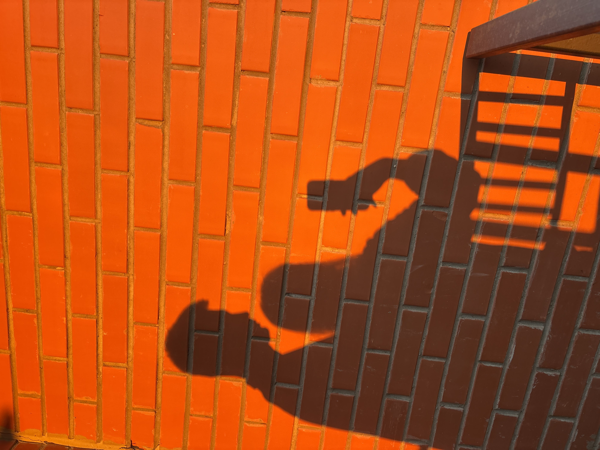 The image displays a brick wall, strongly illuminated by the warm, golden light of either sunrise or sunset. The wall is constructed from orange-red rectangular bricks, arranged in a stretcher bond pattern with visible grey mortar joints.
Dominant shadows are cast across the brick surface. On the left side, the shadow of a person is clearly visible, showing the outline of a head, torso, and an arm extended forward, possibly holding an object or gesturing. To the right, the distinct shadow of a ladder-like or railing structure appears, characterized by parallel horizontal bars and vertical elements creating a grid pattern. This suggests a physical structure, such as a fire escape or balcony, is positioned nearby.
The intense, low-angle sunlight highlights the texture and color of the bricks, creating a dynamic contrast with the dark, sharply defined shadows. The overall lighting indicates a clear day. No visible text is present in the image. The scene captures an ordinary architectural detail transformed by dramatic natural lighting, setting an atmospheric outdoor tone.