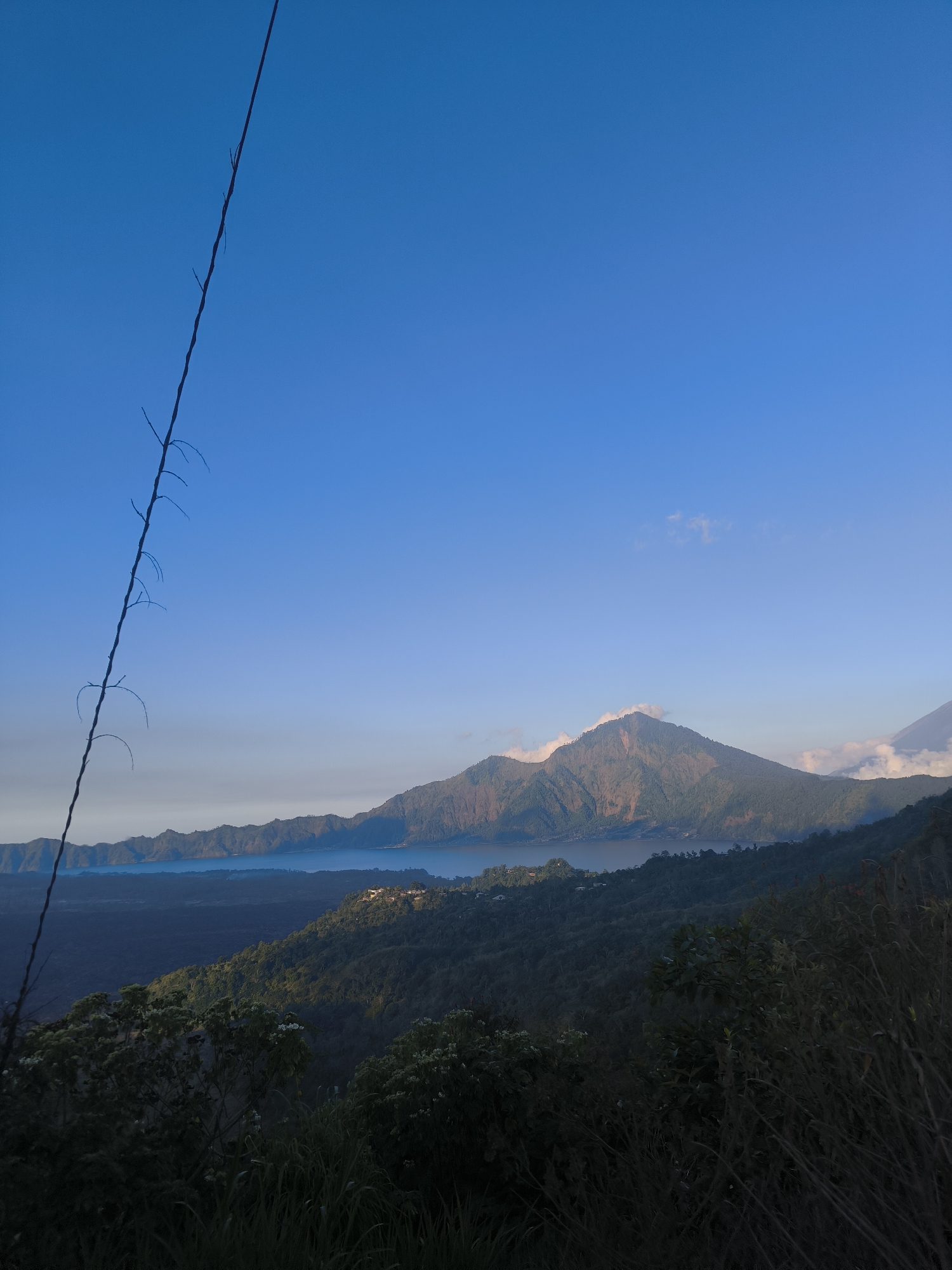 This is a landscape photograph taken from a high vantage point overlooking a body of water and mountains, likely in Kintamani, Indonesia. In the foreground, a thin, dark, dried branch with small offshoots extends diagonally from the upper left corner towards the center. The branch is silhouetted against a clear, bright blue sky. Below the sky, a panoramic view unfolds. A large, calm, blue body of water, likely a lake, occupies the mid-ground, bordered by lush green hills and mountains. Several mountain peaks rise in the distance, some with touches of white clouds clinging to their summits. A small cluster of buildings is visible on a green hillside overlooking the lake. The foreground is dominated by dark foliage, including grasses and bushes, suggesting a natural setting. The lighting indicates it is either early morning or late afternoon, with the sun casting shadows and highlighting the contours of the mountains.