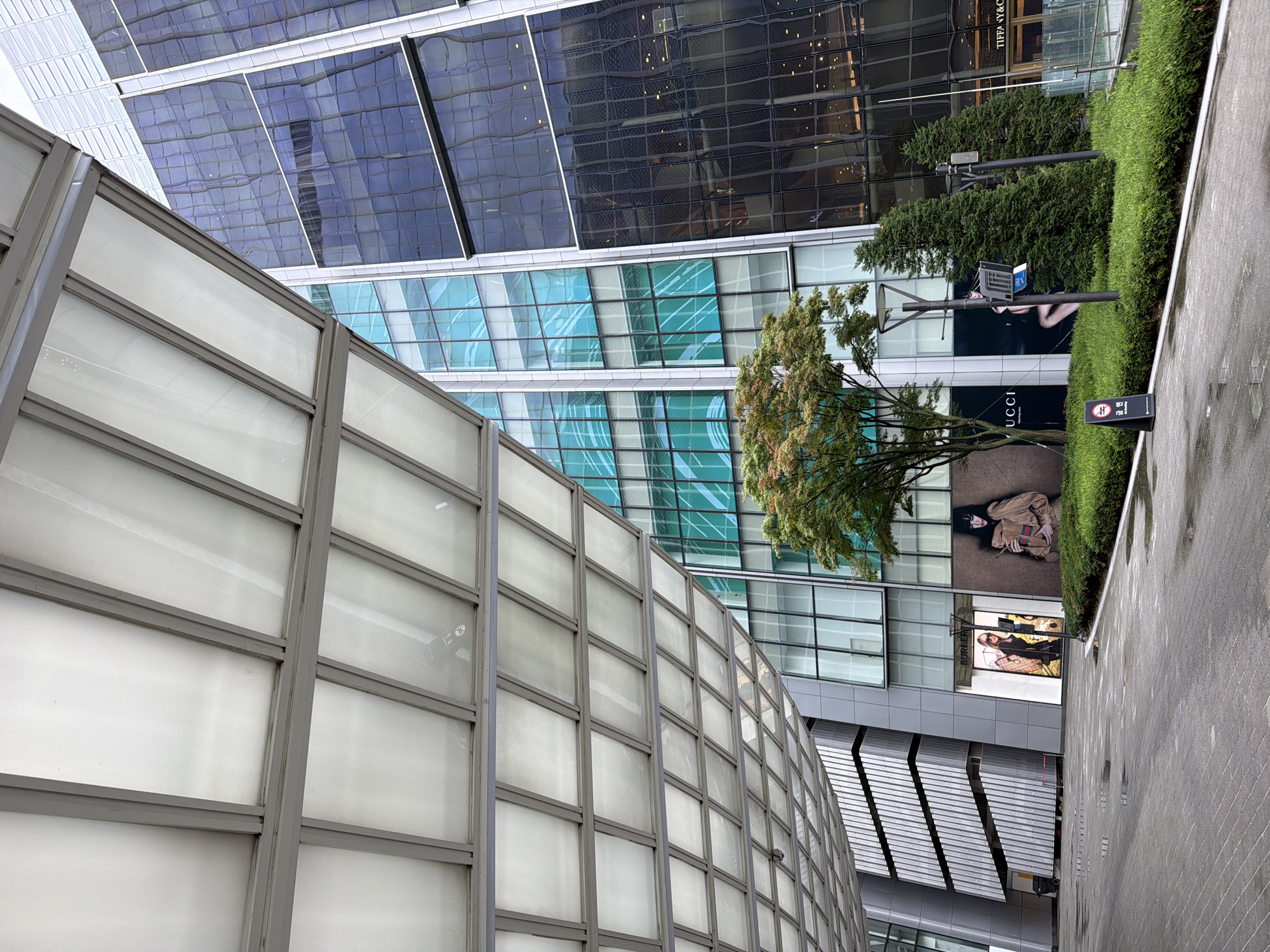 The image depicts the exterior of a modern shopping district in Seoul, South Korea, likely in a high-end commercial area. In the foreground, a wet, paved walkway leads towards a building facade. Overhanging the walkway is a large, translucent canopy supported by a grey metal frame, creating a covered area.
The main subject is a multi-story building with extensive glass facades. On the lower levels, there are storefronts featuring large advertisements. One prominent advertisement displays the brand "BURBERRY" with a female model. Another advertises "GUCCI" with a female model. Further to the right, the signage for "TIFFANY & CO." is visible.
Between the storefronts and the upper floors of the building, a mature tree with green foliage stands, partially obscuring the building's glass panels. Several evergreen trees and neatly trimmed hedges line the area in front of the building. The upper floors of the building are characterized by their reflective glass surfaces, showing distorted reflections of the sky and surrounding structures.
The environment appears to be a public outdoor space within a commercial complex. The wet pavement suggests recent rain. There are no people clearly visible interacting in the scene, although some figures might be present within the buildings or reflected in the glass. The overall impression is one of a clean, organized, and upscale retail environment.