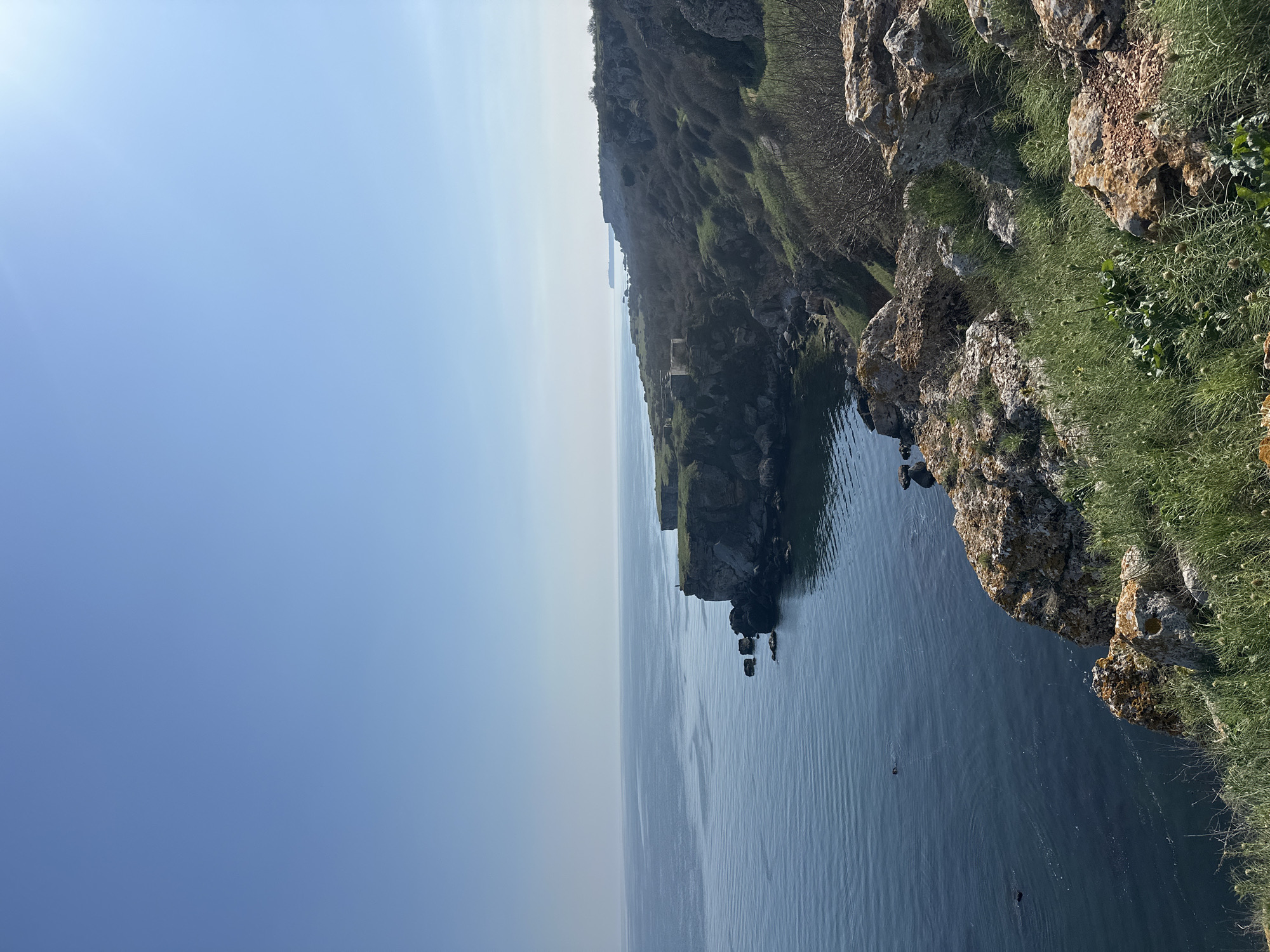 The image depicts a section of the Black Sea coast at Kamen Bryag, Bulgaria. A rocky cliff edge covered with vegetation, including grass and shrubs, extends into the sea. The cliff face is composed of layered rock formations. The sea is relatively calm, with several dark objects visible on its surface. The sky is clear and light blue. The perspective is from a high vantage point looking down at the cliff and sea.