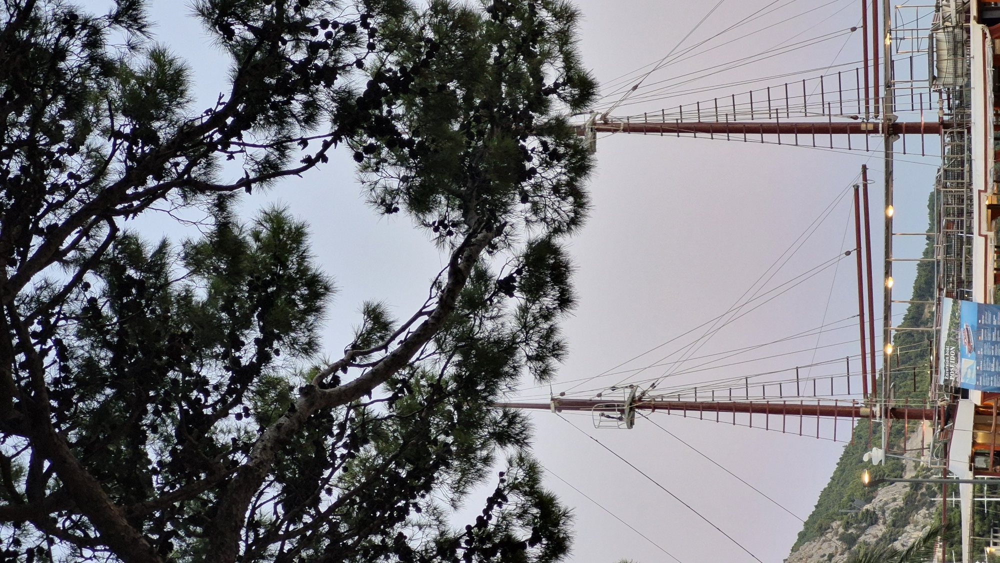 A vertical, medium shot captures a pine tree's branches in the foreground, framing a docked excursion boat and two wooden masts against a pale sky. The boat, with its white and reddish-brown hull, is partially visible. Lights are illuminated along its upper deck, and a ladder descends from the crow's nest on the port-side mast. A sign on the boat's deck displays an image of another boat and text. To the left, a densely wooded, rocky hillside rises. The scene suggests a harbor or waterfront setting.