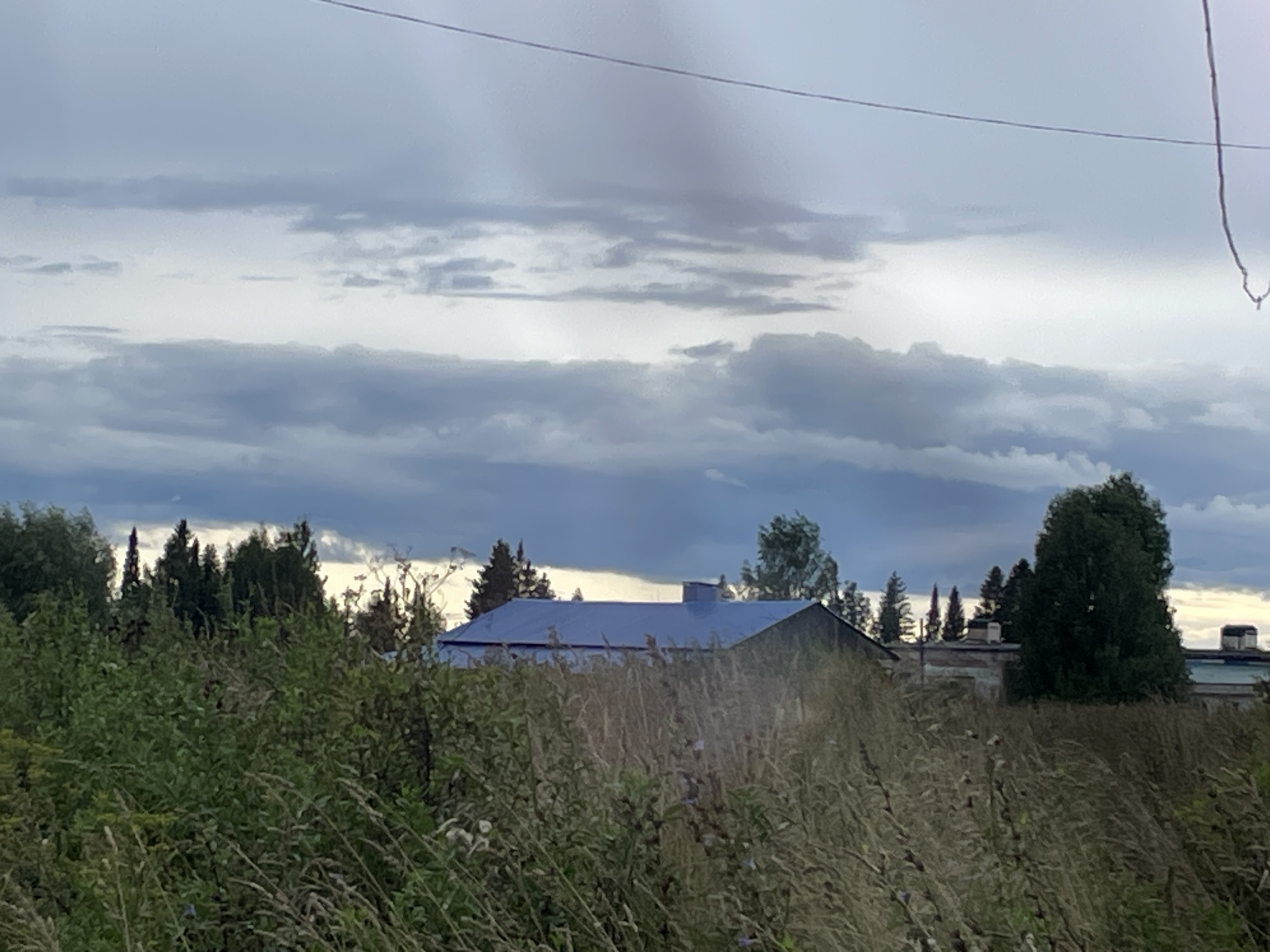 A wide shot captures a rural landscape with a cloudy sky and a building in the distance. The foreground is dominated by tall, dry grass and green bushes. A blue-roofed building, likely a house or barn, is partially visible behind the vegetation. Several evergreen trees are scattered throughout the scene. The sky is filled with grey and white clouds, with a hint of lighter sky on the horizon. The overall impression is of a calm, overcast day in a countryside setting.