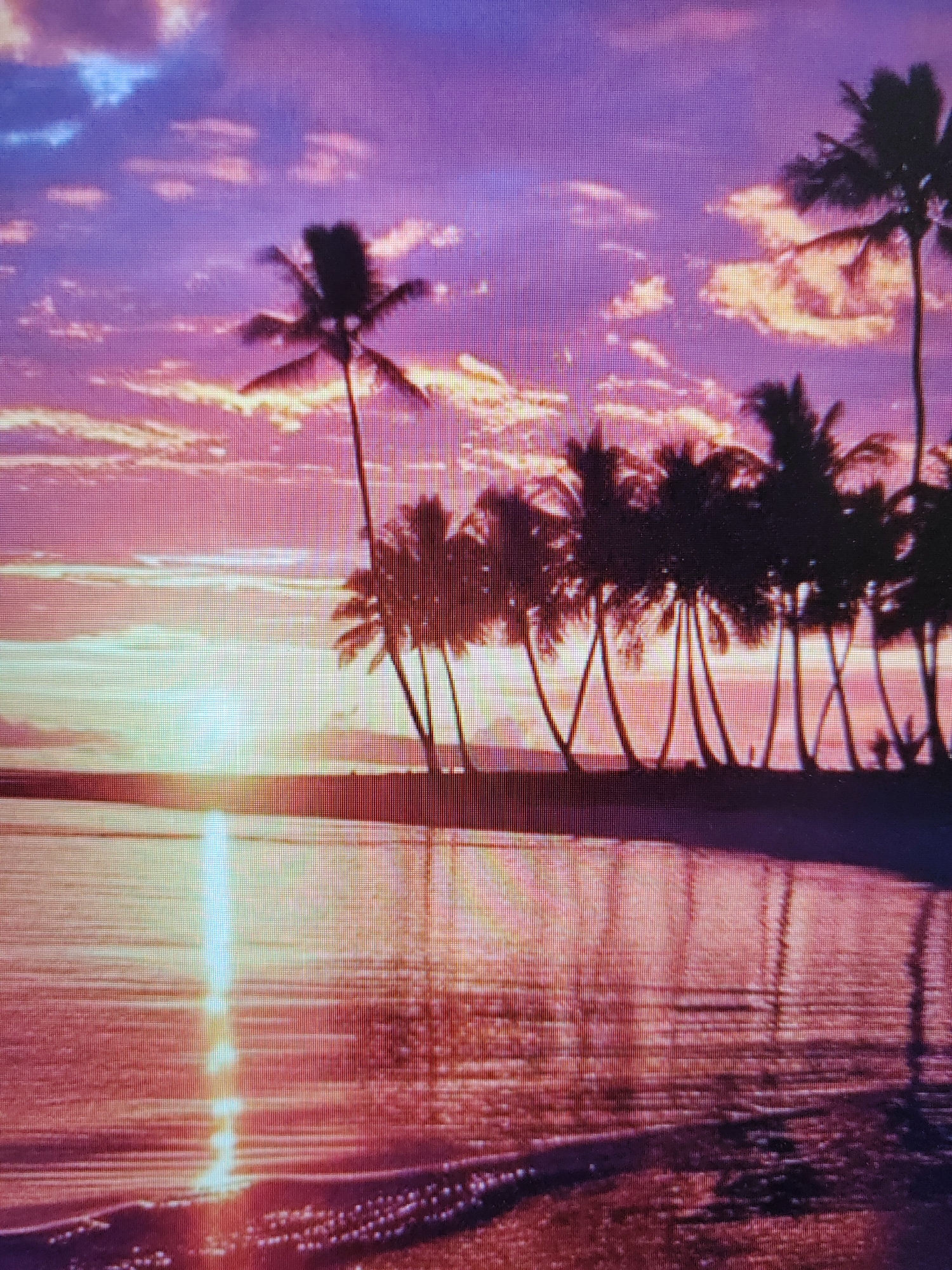 The image depicts a vibrant sunset over a tropical beach. Silhouettes of palm trees line the shore, their fronds fanning out against a sky ablaze with purple and pink hues. Wispy clouds catch the dying light, creating streaks of orange and gold. The ocean reflects the colorful sky, with gentle waves lapping at the sandy beach. A bright sunbeam cuts a path across the water, its reflection shimmering. The scene is serene and picturesque, evoking a sense of tropical tranquility. The image was taken in Unknown, Unknown.