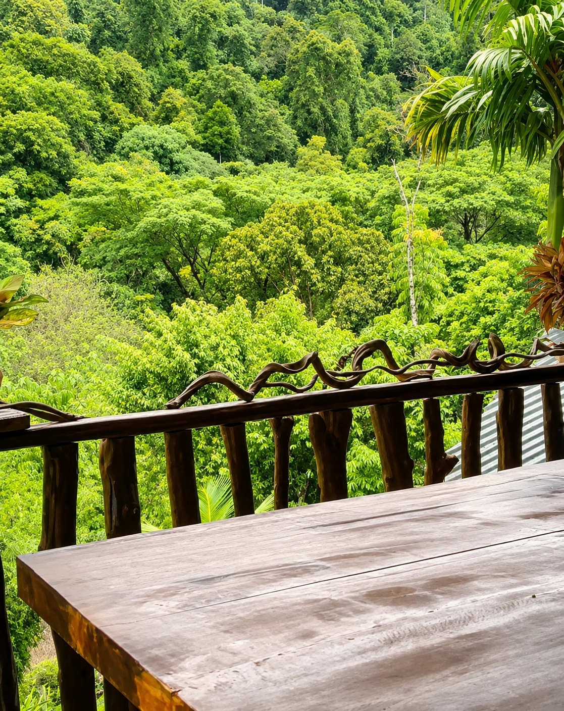 An eye-level, medium shot captures a rustic wooden table and railing overlooking a lush, dense forest in a tropical location. The table in the foreground is made of broad planks of dark wood, showing signs of wear and a slight sheen from natural light. Behind the table, a wooden railing constructed from thick, natural branches and posts supports a decorative top rail formed from twisted, vine-like wood. The railing is set against a backdrop of a vibrant green forest that stretches as far as the eye can see, with varying shades of green indicating the density and types of foliage. The sky is not visible. The overall impression is one of a peaceful, natural setting.