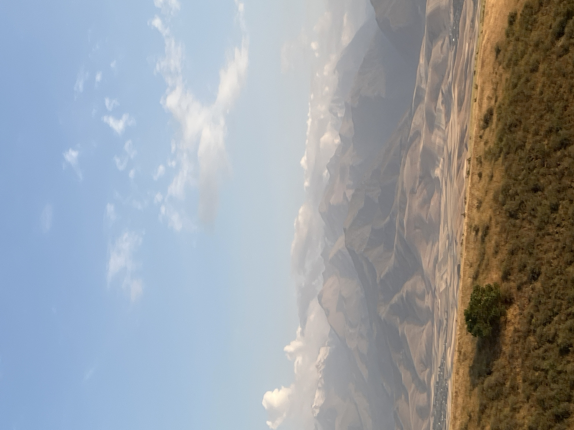 A scenic, panoramic view captures the rolling hills and distant mountains of Besh Kungei, Kyrgyzstan. The foreground is dominated by dry, golden-brown grass and shrubbery, with a single, verdant green tree standing prominently on a slight incline. In the midground, the landscape transitions to undulating hills with a patchwork of lighter and darker shades, suggesting cultivated fields and natural terrain. A small village with scattered buildings is visible nestled in a valley between these hills. The background is a majestic mountain range, with some peaks lightly dusted with snow. The sky is a clear, pale blue, dotted with scattered, wispy white clouds. The lighting suggests it is either early morning or late afternoon, casting soft shadows across the terrain.