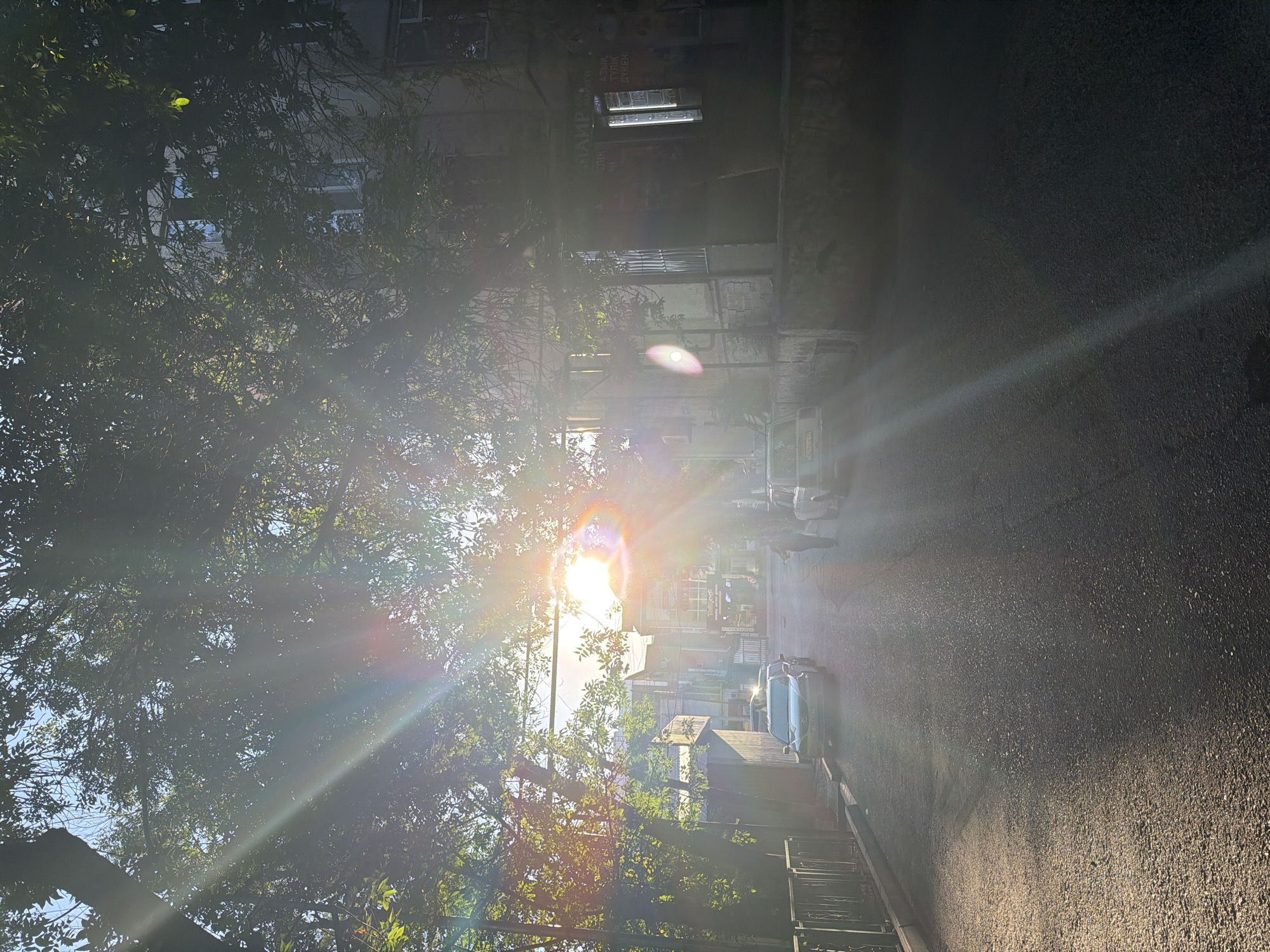 The image depicts a sun-drenched street scene in Shymkent, Kazakhstan, likely during the late afternoon or early morning given the low angle of the sun. The sun's rays are powerful, creating lens flares and casting long shadows across the asphalt road. Mature trees with lush green foliage line the street, their branches arching over the road and obscuring parts of the sky and the buildings behind them.
On the left side of the road, a metal fence runs along the sidewalk, bordered by a low concrete curb. A silver sedan is parked on the side of the road, its headlights illuminated. Further down the street, more cars are visible, including a white vehicle. Two individuals are walking away from the camera down the center of the street.
The buildings on the right side of the street appear to be multi-story residential or commercial structures. One building has visible windows, some of which reflect the bright sunlight. There is some signage on the building, but the text is not clearly legible. The overall impression is of a quiet urban street bathed in the warm glow of the sun, with the natural elements of the trees playing a significant role in shaping the visual atmosphere.