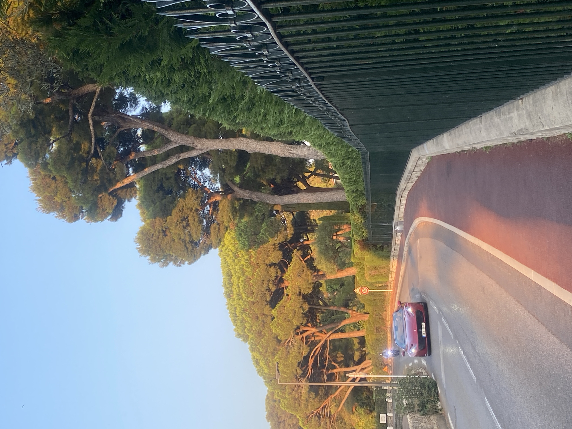 The image depicts a red Ferrari driving on a winding road in Antibes, France. The sun is setting, casting a warm golden light on the scene. The road is lined with lush green trees and a tall, ornate black metal fence. The Ferrari is in the foreground, its headlights on, and a motorcycle can be seen behind it. The sky is clear and blue, with a single bird flying in the distance. The overall impression is one of luxury and scenic beauty, characteristic of the French Riviera.