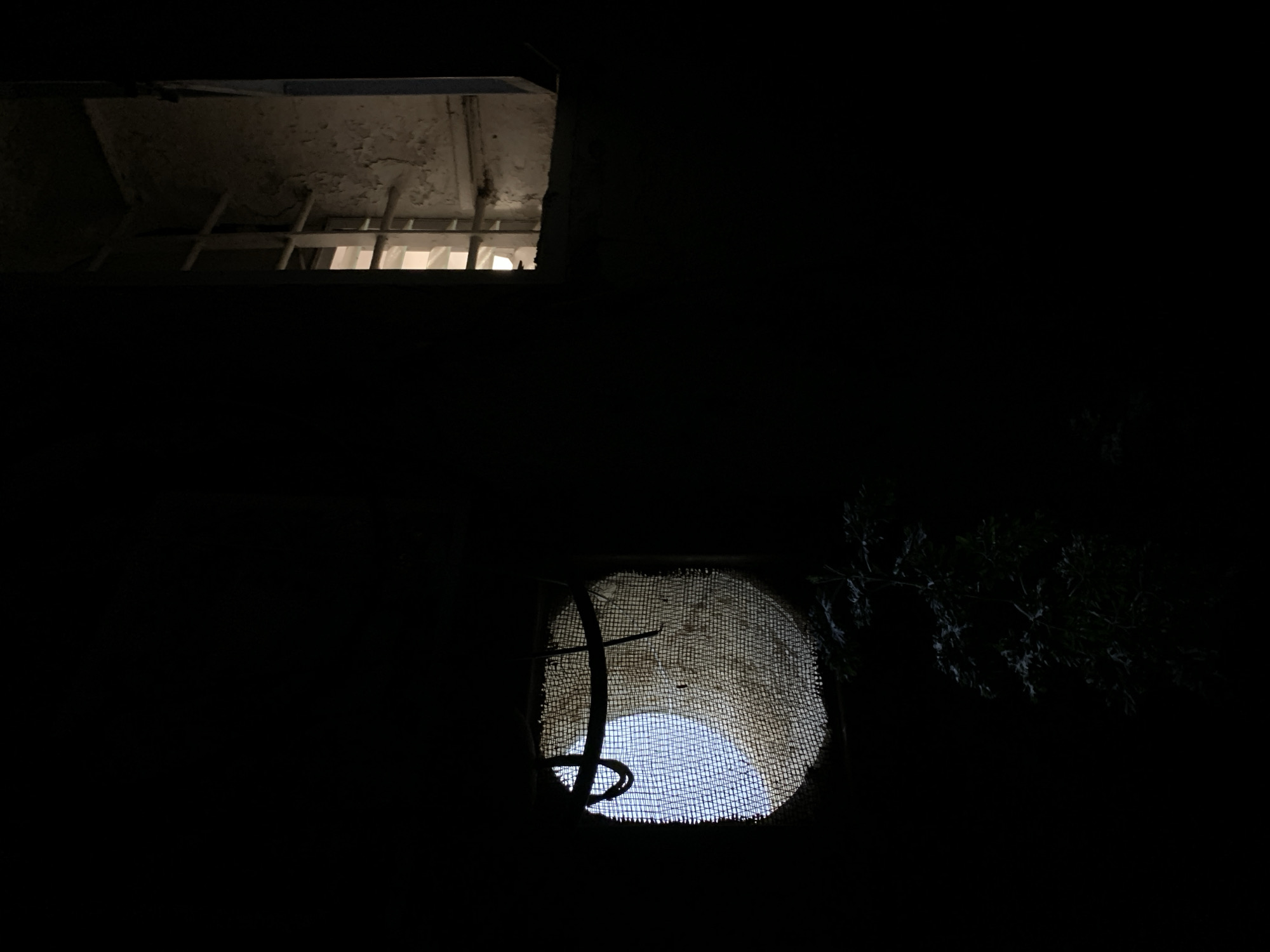 The image depicts a dark, possibly enclosed space with two openings to the outside. At the top, a rectangular opening reveals a concrete ceiling with peeling paint and metal bars, suggesting a window or vent. Below, a roughly circular opening, covered with a coarse mesh, allows a view of the sky. A dark, curved object protrudes into the lower opening. To the right of the lower opening, there are dark branches. The scene is dimly lit, emphasizing the contrast between the dark interior and the glimpses of the outside world. It is impossible to determine that the photo was taken in Tel-Aviv, Israel.