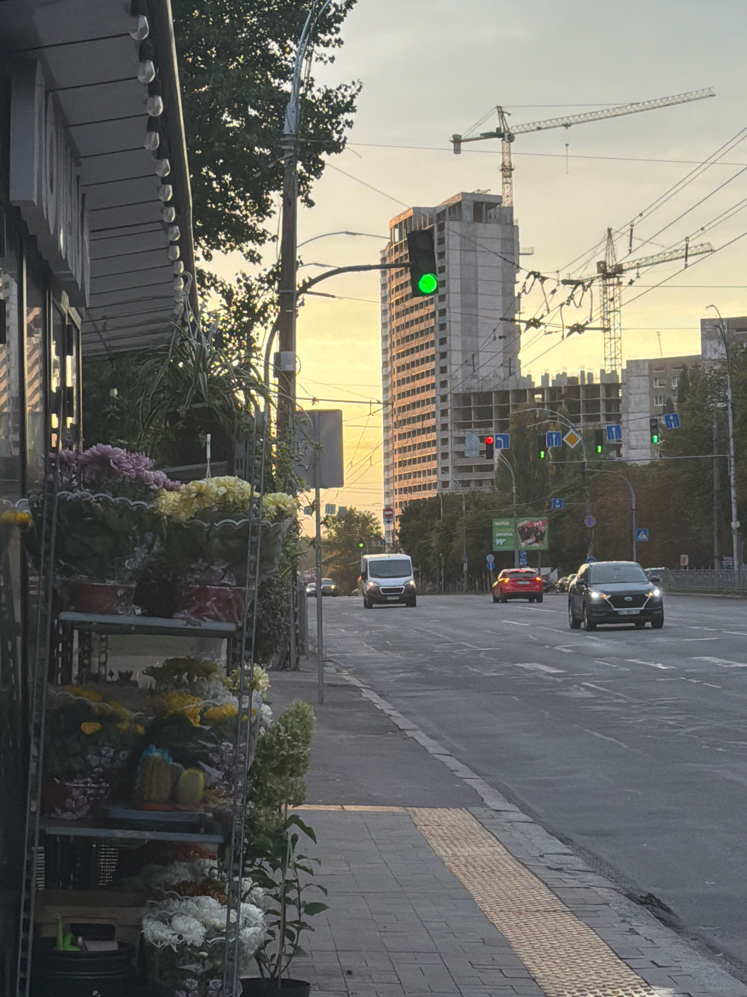 This is a street-level, eye-level, medium shot photograph taken in Kyiv, Ukraine, during what appears to be either sunrise or sunset, given the warm, yellow-orange hue of the sky. The scene depicts a city street with a construction site in the background.
In the foreground, on the left, is the exterior of a shop with a covered awning. The awning is lined with small, round lights. Below the awning, a display of potted flowers is visible on a multi-tiered metal rack. Various colorful flowers, including purple, yellow, and white varieties, are arranged in the pots. Some green foliage and decorative items are also present.
The street itself is paved and appears to be a multi-lane road. There are several cars on the road. A white van is in the left lane, a red car is in the middle lane, and a dark SUV is in the right lane, all moving away from the viewer. The traffic lights are visible; the one closest to the viewer on the left is red, while a traffic light further down the street on the right is green.
In the middle ground and background, a tall, unfinished high-rise building is under construction. Construction cranes are positioned around the building, indicating ongoing work. Power lines and streetlights are also visible. The sky above is a soft yellow-orange.
The sidewalk in the foreground features tactile paving for visually impaired pedestrians, indicated by the textured yellow tiles. The overall environment suggests an urban setting within Kyiv, with a mix of commercial activity, traffic, and construction.