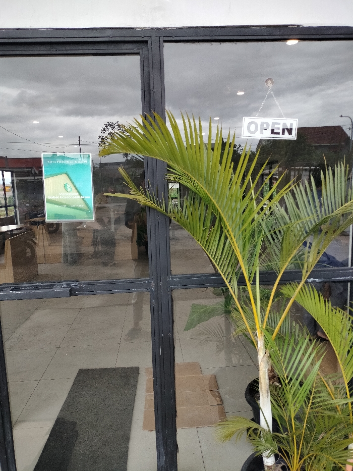 This vertical shot captures the glass entrance or front window of a building, likely a shop or cafe, in Dramaga, Indonesia. The window is framed by black metal mullions, reflecting both the interior and exterior environments.
A vibrant green palm-like plant, potted in black, stands prominently on the right side, partially obscuring the view through the glass. Its long, slender fronds and yellowish stems are a central feature.
Two signs are visible on the glass. A white sign with black text reading "OPEN" hangs by a chain from the top right section of the window. On the left, a green sign is affixed to the glass. Though partially reflective, legible text includes "Jadwal" (Schedule) at the top, followed by a logo resembling a stylized leaf or tree. Below the logo, the words "Sustainable Product. Local Made. By Dramaga." are clearly visible, directly referencing the specified location.
The reflections in the glass reveal an overcast, cloudy sky and distant structures outside. Inside, reflections of what appear to be furniture or cardboard boxes and a dark doormat are visible on the tiled floor. The faint reflections of at least two people can be discerned; one person's lower legs and feet are visible near the bottom left corner, suggesting someone is inside the establishment. The scene depicts a typical daytime setting, indicating the establishment is open for business under cloudy weather conditions.
