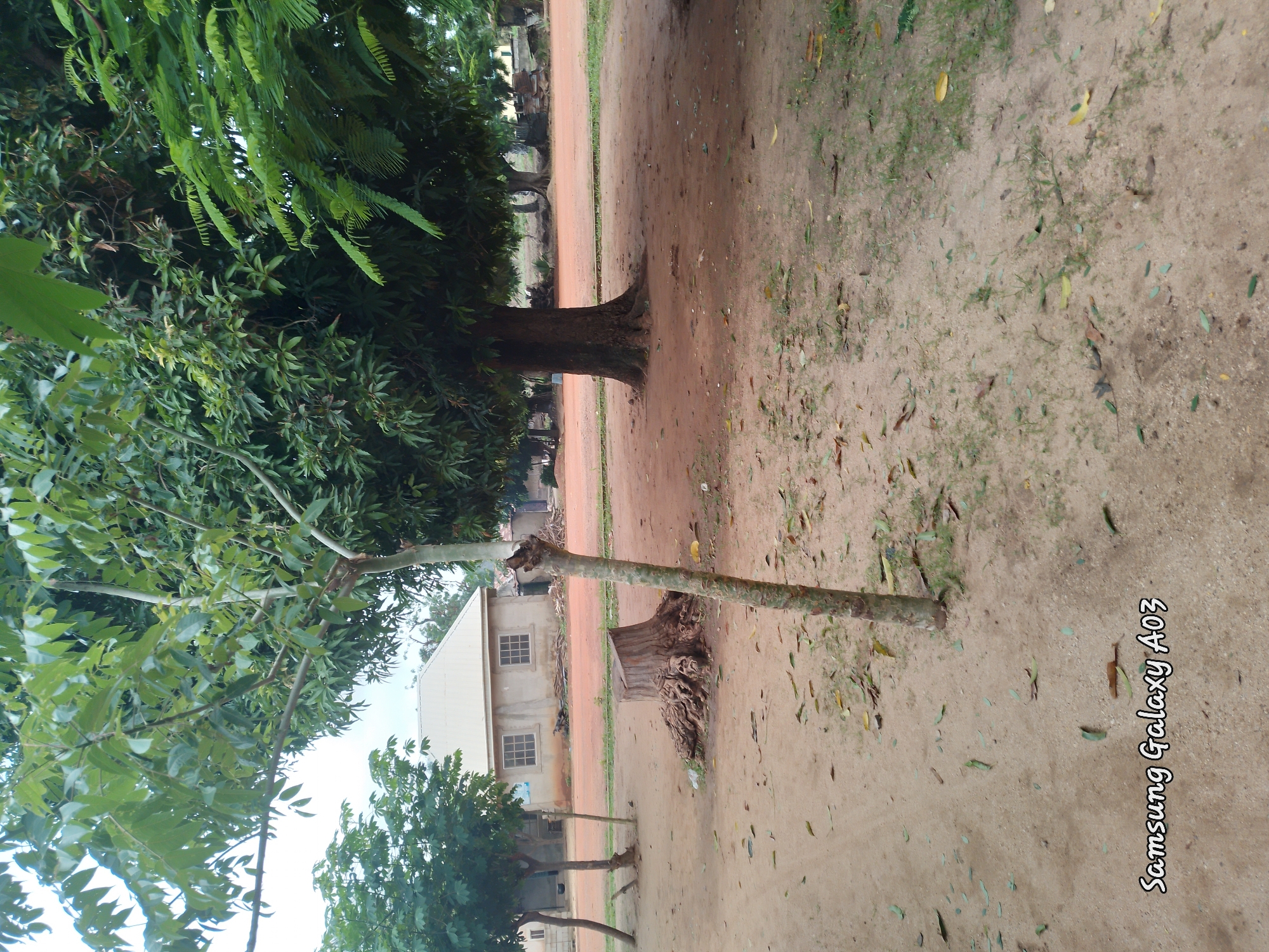 The image depicts an outdoor scene in Doka-Tofa, Nigeria. In the foreground, a tree trunk stands prominently, with a smaller tree to its left. The ground is covered in sandy soil and scattered leaves. Behind these trees, a light-colored building with a peaked roof and two windows is visible. The building appears to be a residential structure. Further in the background, more trees and vegetation can be seen, creating a natural environment. The overall impression is that of a rural or semi-rural setting within the town. The sky is overcast, suggesting a cloudy day. The bottom left corner of the image displays "Samsung Galaxy A03" text, indicating the device used for capture.
