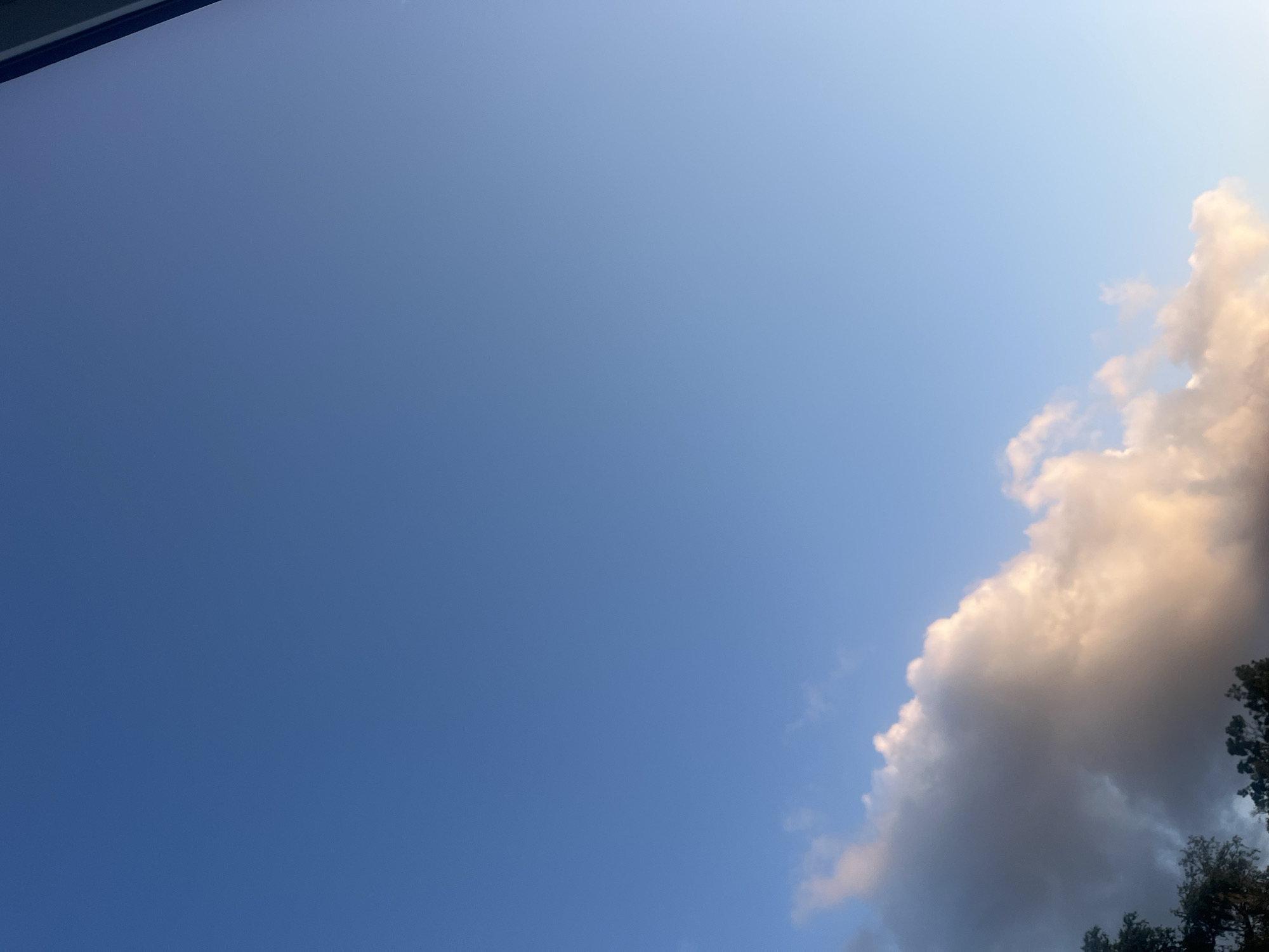 The image displays a wide expanse of a clear blue sky, with a soft gradient of lighter blue towards the right side of the frame, suggesting a late afternoon or early evening setting. In the lower left quadrant, a cluster of clouds is visible. These clouds are voluminous and textured, with their undersides appearing in shades of grey and dusky purple, while their upper surfaces are brightly illuminated in hues of warm white and peachy orange, indicating they are catching the light of the setting sun. Silhouetted against the sky and beneath the clouds are the dark, jagged tops of trees, adding a natural element to the scene. On the far right edge of the image, a thin, dark vertical line is present, possibly a building edge or a window frame, partially obscuring the sky. The image does not contain any people or visible human activity. The environment depicted is outdoors, likely in a park or natural area within Jacksonville, United States of America, given the presence of trees and the open sky.