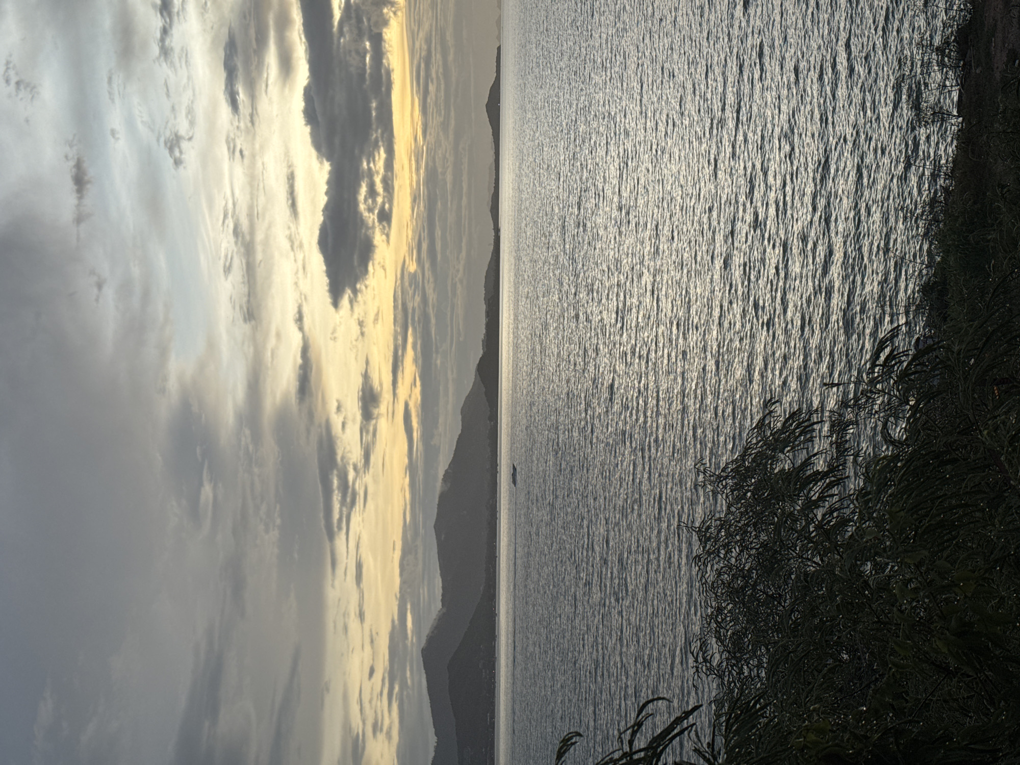 A serene, slightly overcast seascape is captured from a slightly elevated vantage point overlooking a body of water. The horizon is dominated by a chain of dark, undulating mountains, silhouetted against a sky painted with subtle hues of grey, yellow, and pale blue from an unseen sunset or sunrise. The water itself is a textured expanse of shimmering ripples, reflecting the muted light from the sky. In the distance, a small white boat navigates the calm waters. In the foreground, the dark silhouettes of lush green foliage, possibly trees or bushes, frame the scene, with some appearing to be slightly wet, possibly from dew or recent rain. The overall atmosphere is tranquil and peaceful, suggesting a natural coastal environment. This scene is located in Baan Plai Laem, Thailand.