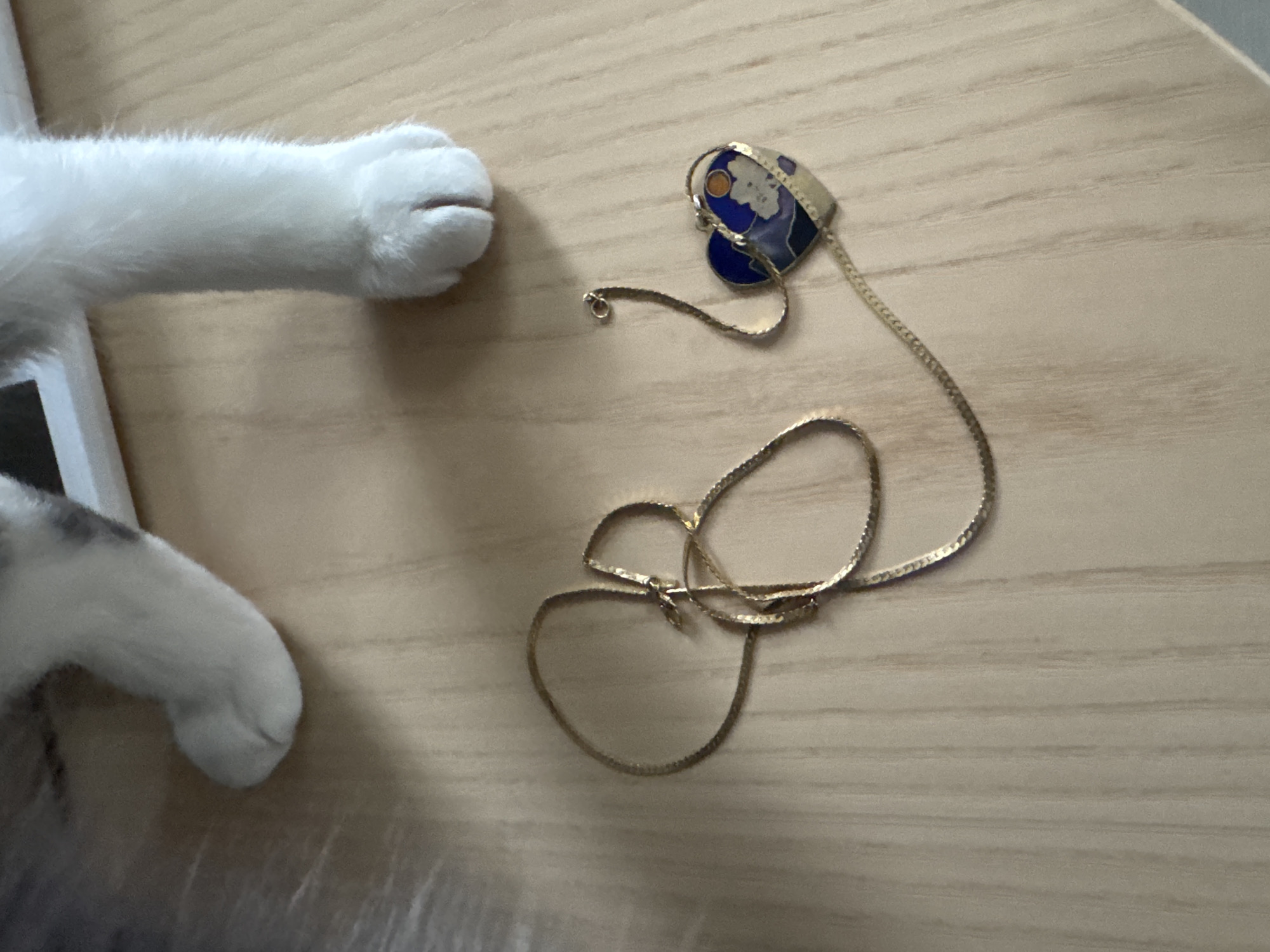 In an indoor setting, a cat's white paw rests on a light-colored wooden surface. A gold chain necklace is draped across the surface, with one end attached to a heart-shaped pendant. The pendant is blue with a white cloud and a small orange circle, possibly representing the sun. The scene is devoid of any context indicating a specific location within New York City, United States of America.
