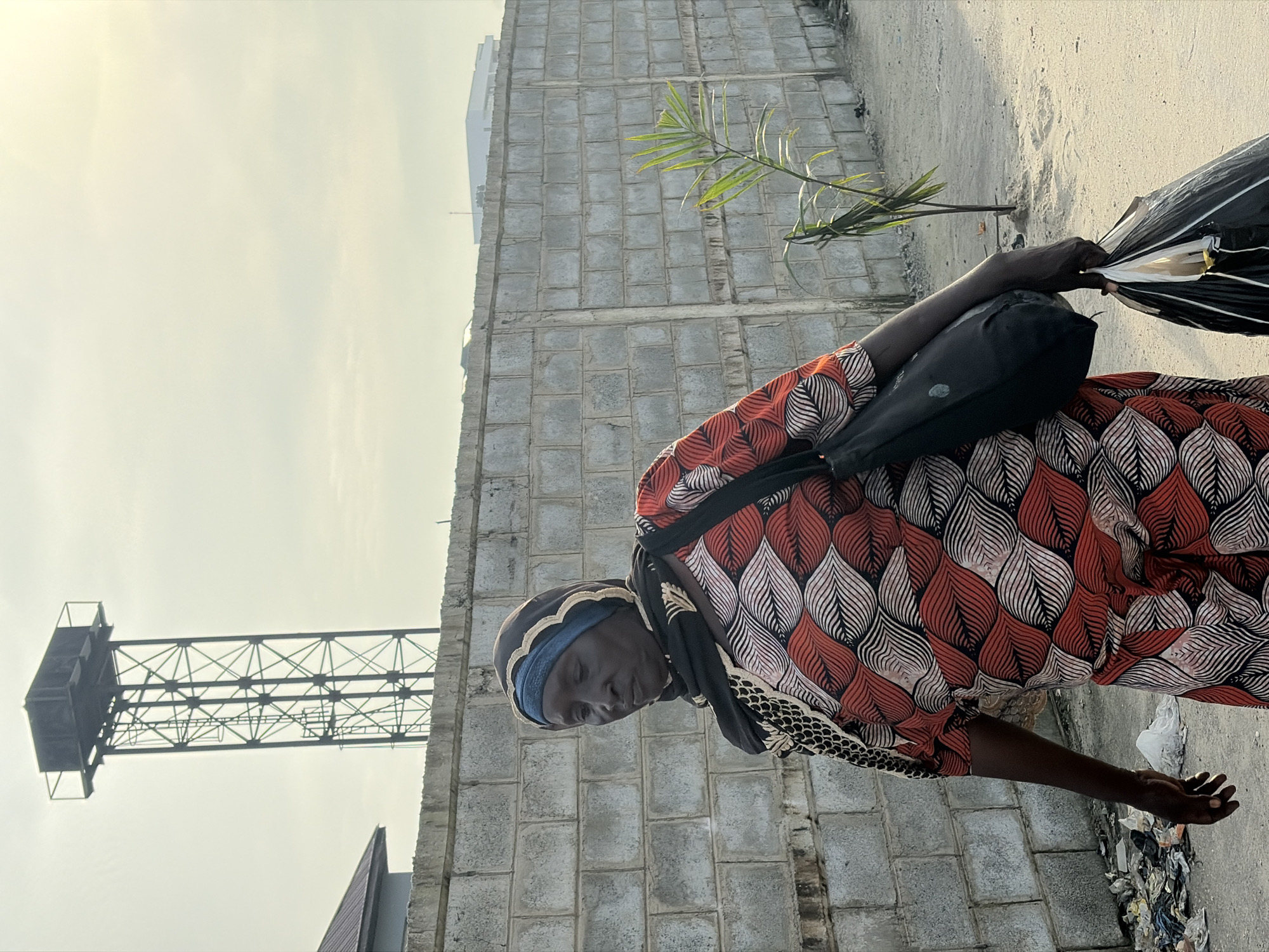 In Alaguntan, Nigeria, a woman walks along a dirt road. She wears a brightly patterned orange, white, and black dress and a dark headscarf with a blue lining. A black bag hangs from her left shoulder, and in her right hand, she carries a large, black plastic bag. Behind her is a grey brick wall, and to the left of the wall, a tall, dark metal water tower with an open lattice structure stands against a pale sky. A small, green plant grows beside the wall. Debris litters the ground to the left of the woman.