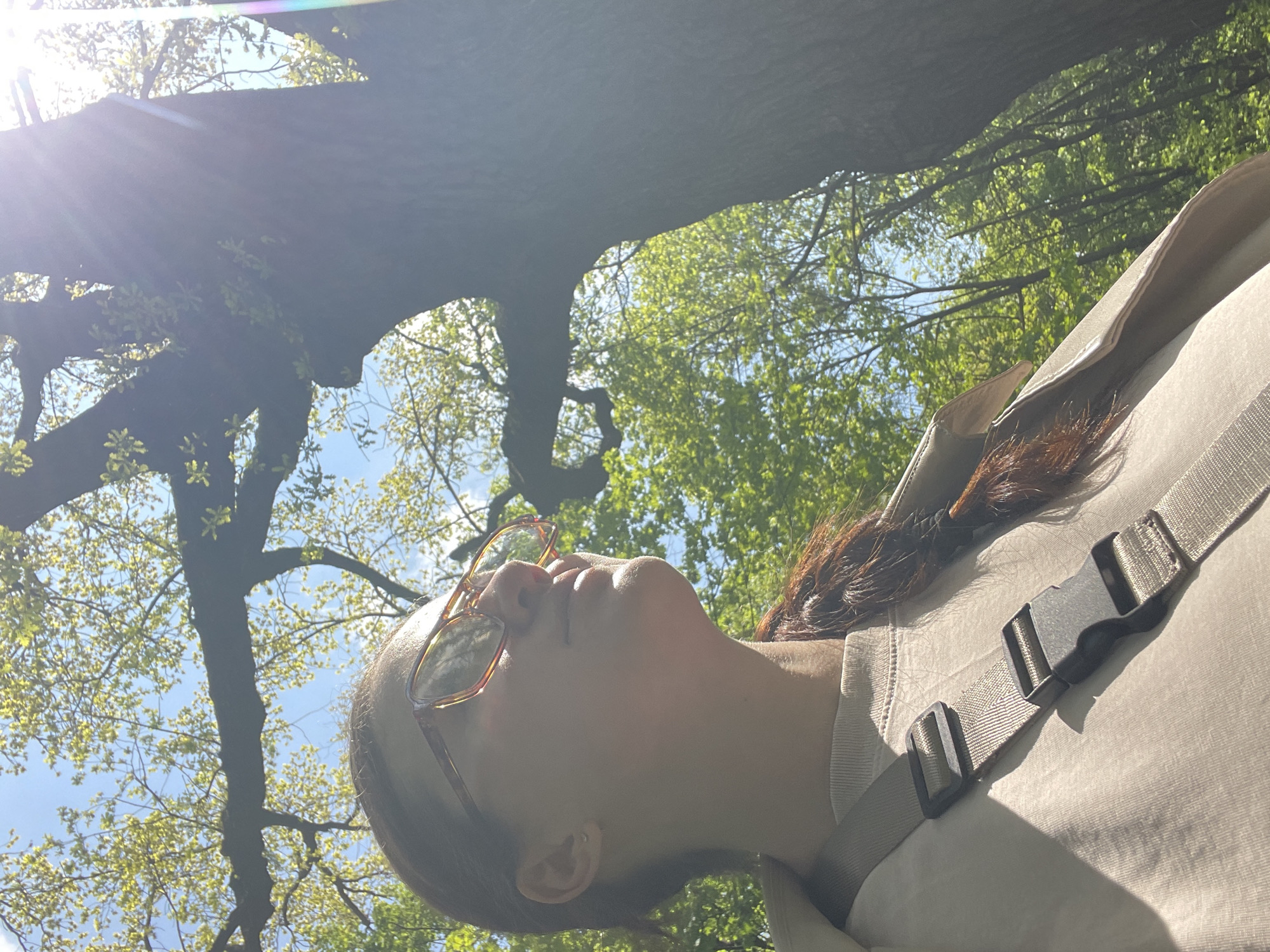 A low-angle, medium shot captures a person gazing upwards towards the leafy canopy of a tree against a sky with patches of blue. The sun, positioned at the top left, casts a bright glare into the lens. The person wears glasses with a tortoise shell-patterned frame. A light-colored shirt with a strap across the chest is visible. The location is Moscow, Russia.